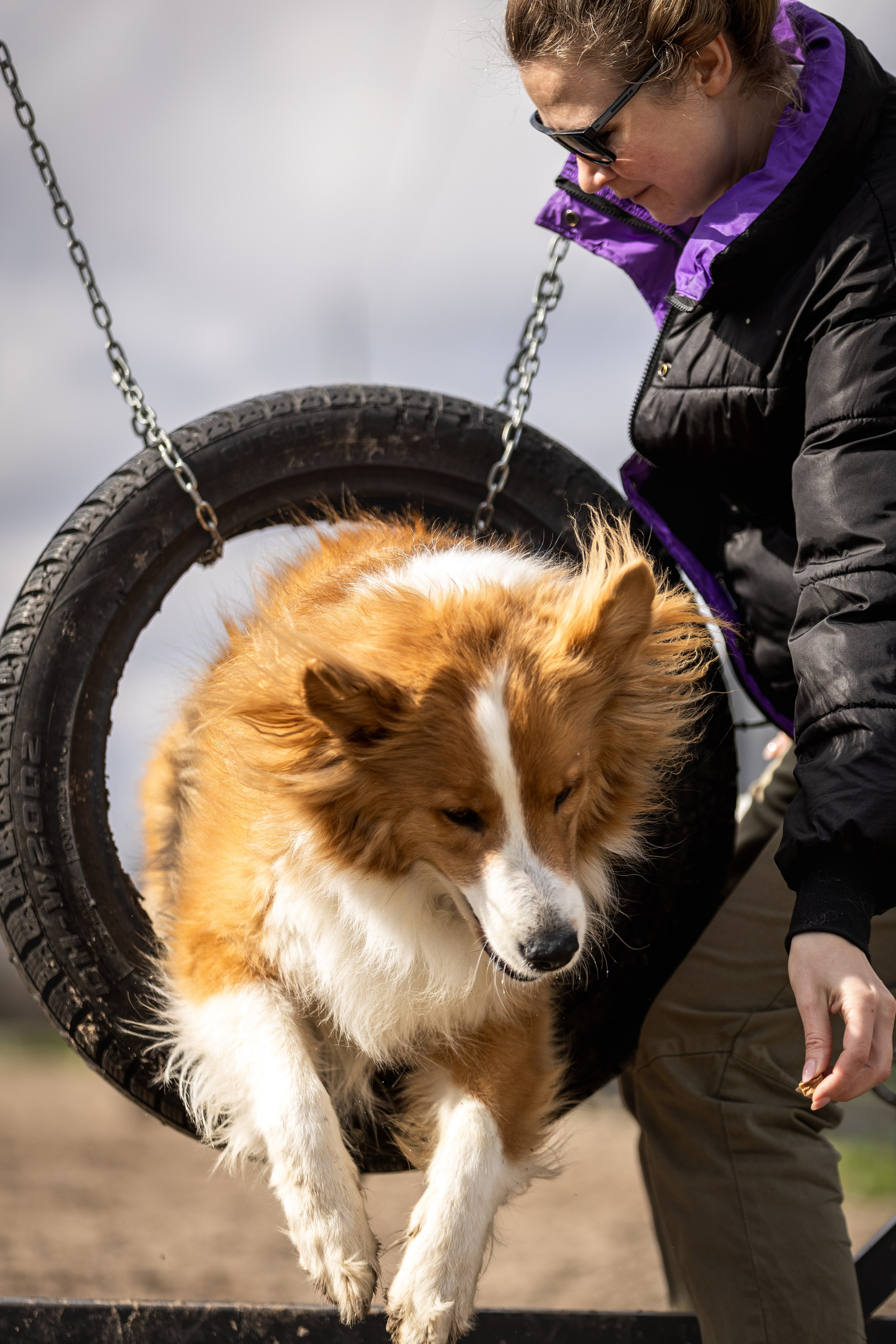Догтуса 24.03.2024. Ирина Голомб|Фотограф-анималист в  Сочи и Калининграде