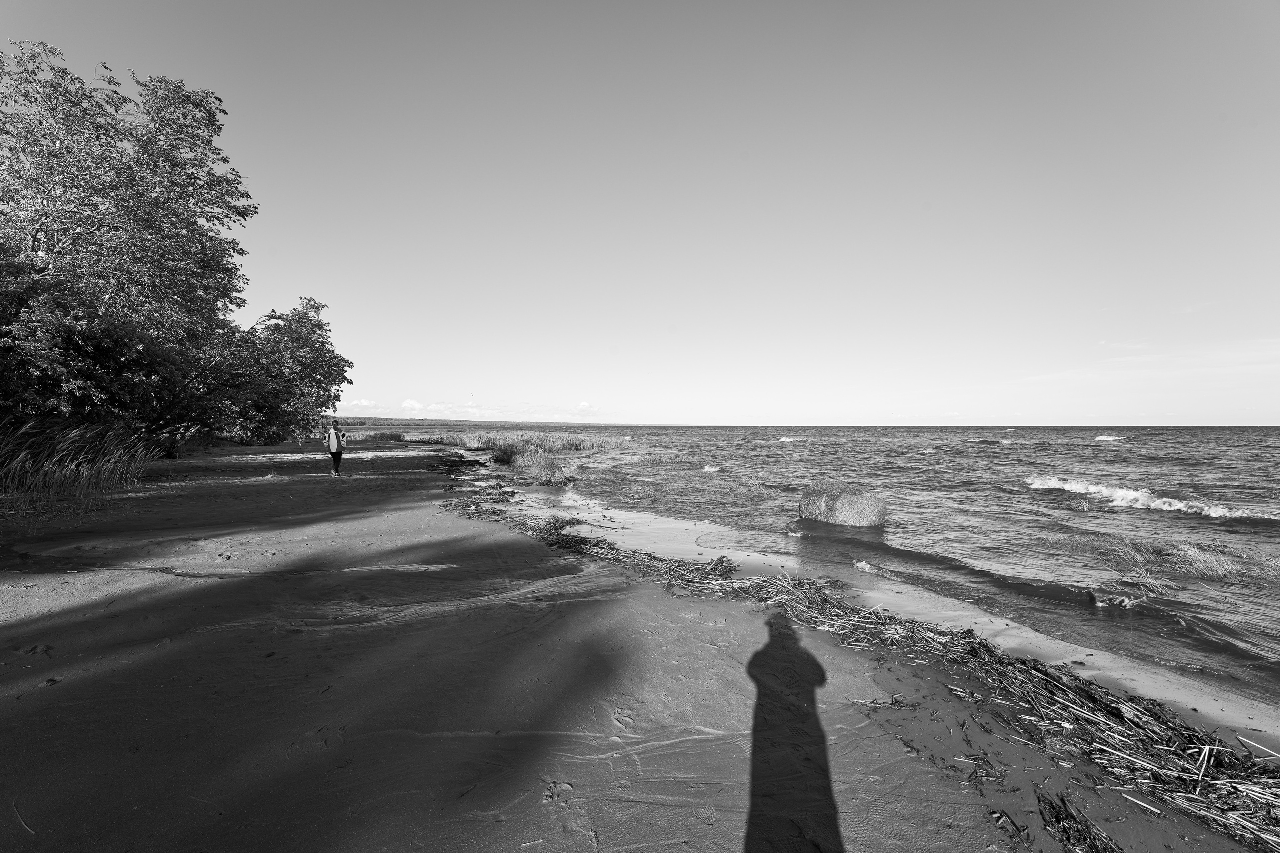 На берегу Финского залива