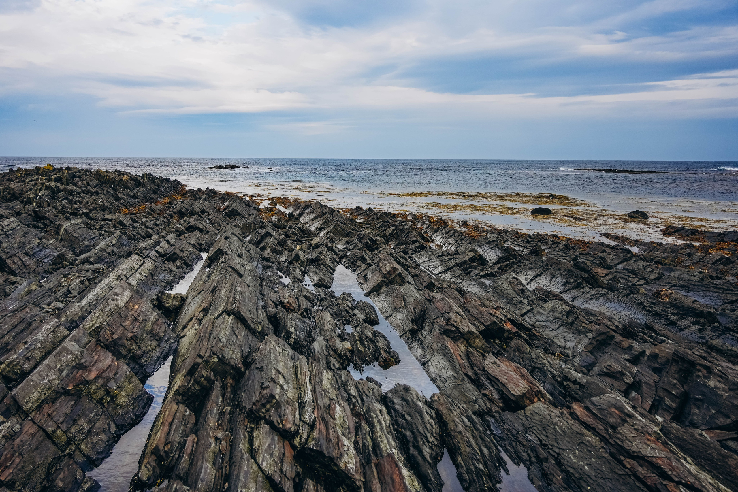 СЕВЕР. Event фотограф Степанова Александра