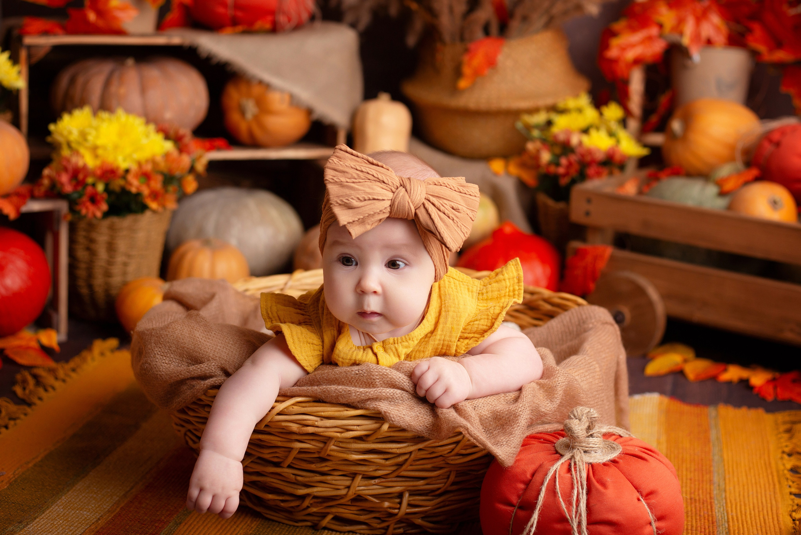 Фотопроекты. Детский фотограф в Няндоме Ариана Арсеньева