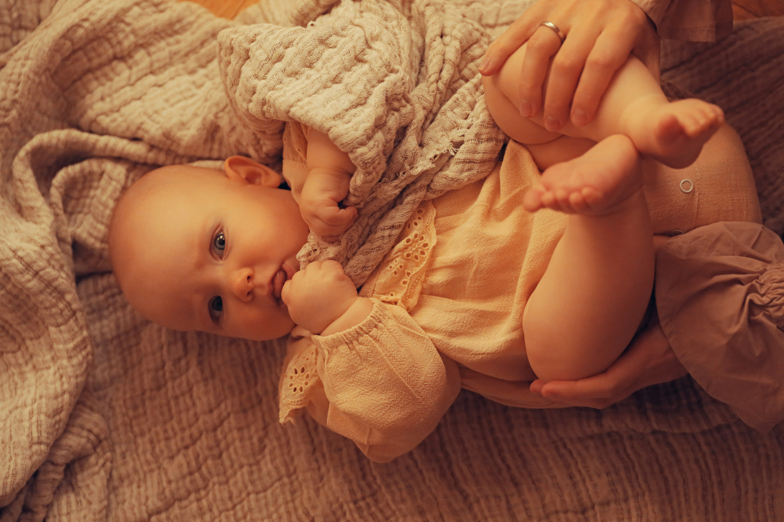 Мать и дитя. Вячеслав Шевченко