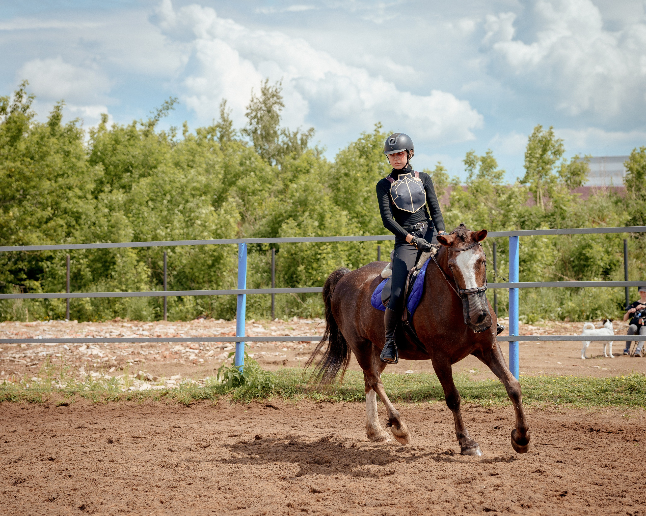 Конный клуб Горки. Портретный и семейный фотограф в Москве/Видное