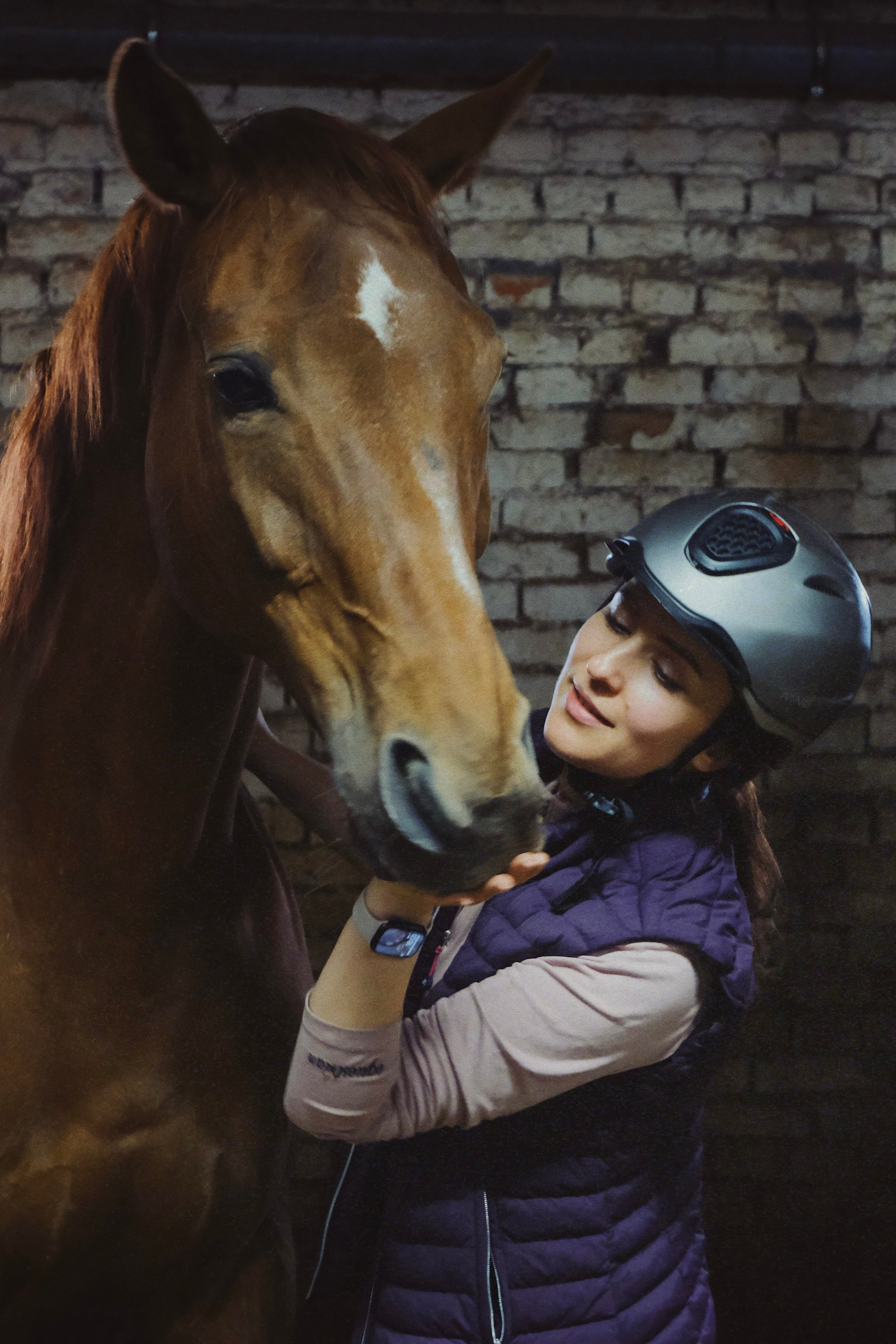 Питомцы. Татьян гертье