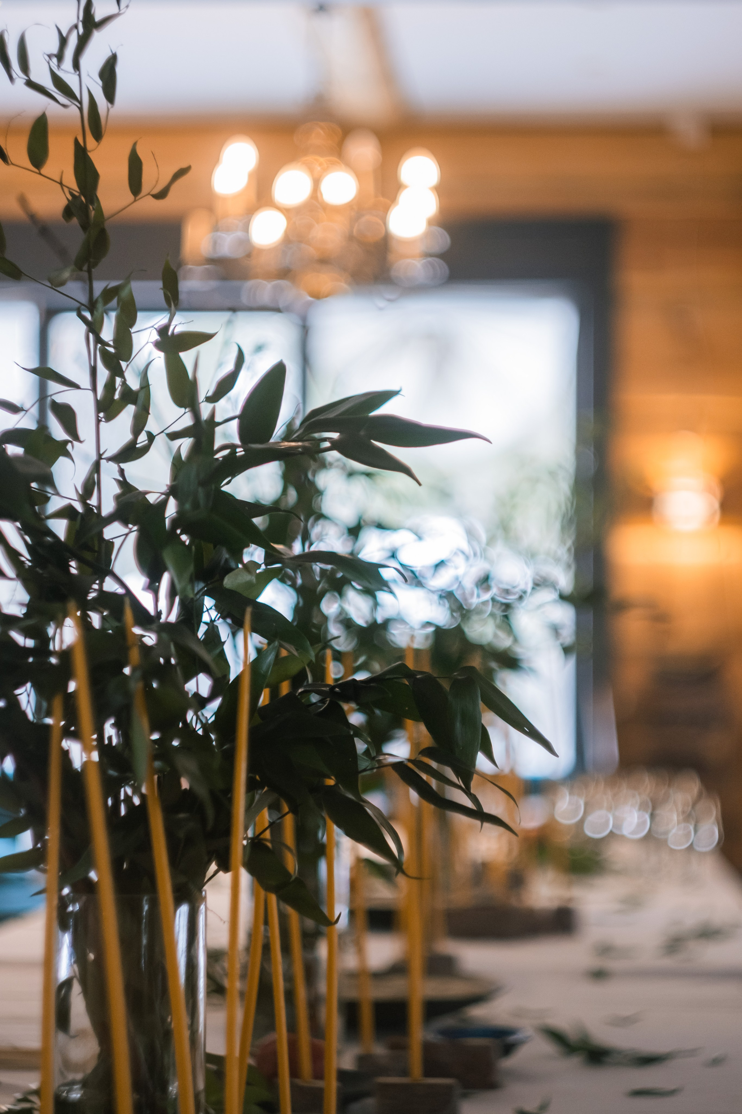 Семён и Алина. Мария Сигина-Лавданская