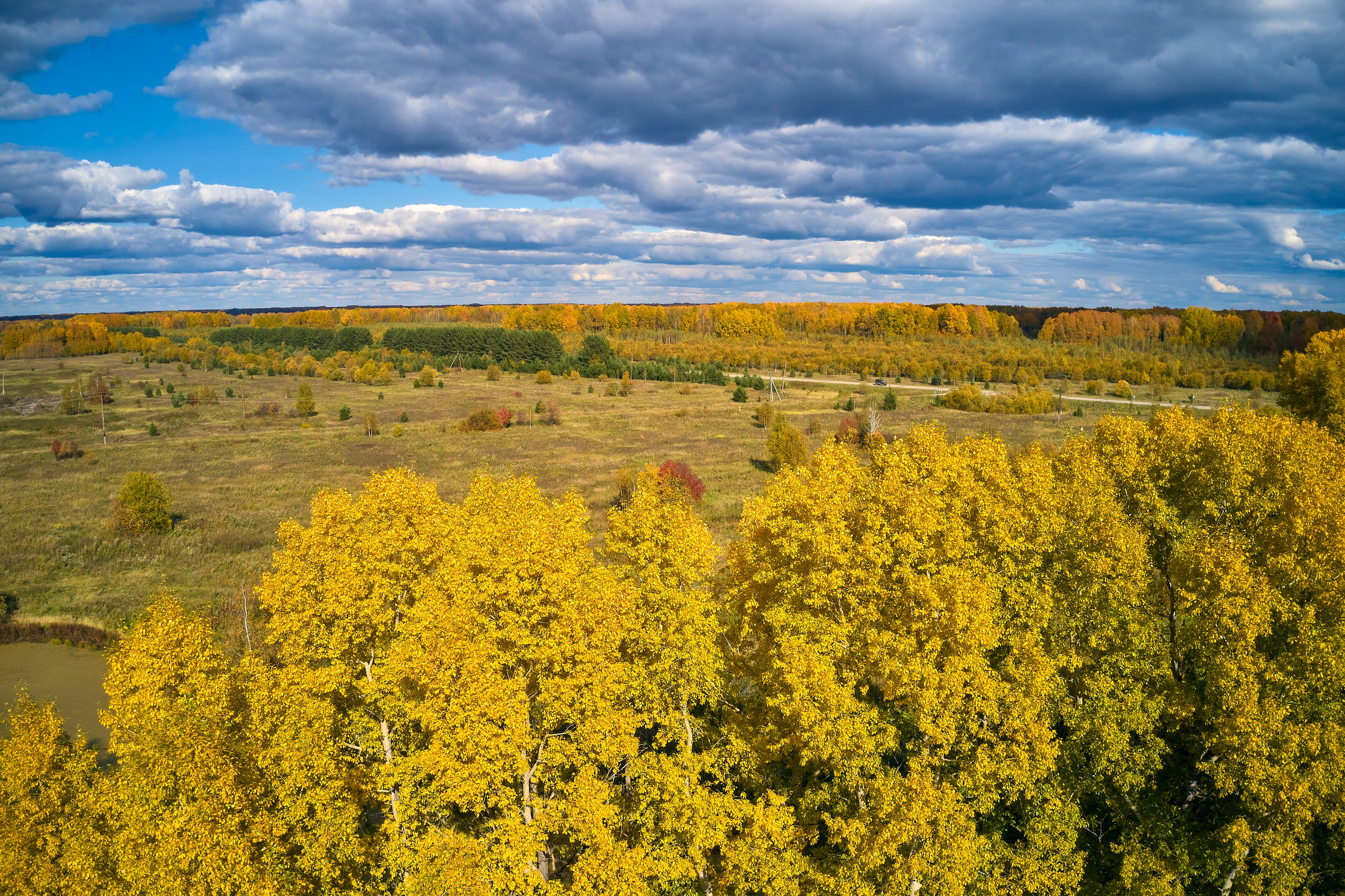 Съемка в полете. DMITRY MOISEENKO — фотограф, художник, топ-стилист