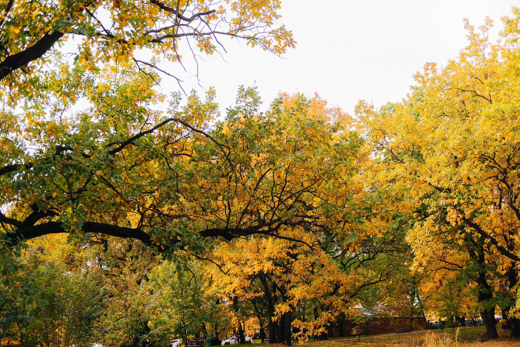 Александра и Дмитрий. Фотограф в Волгограде Виталий Самойлов