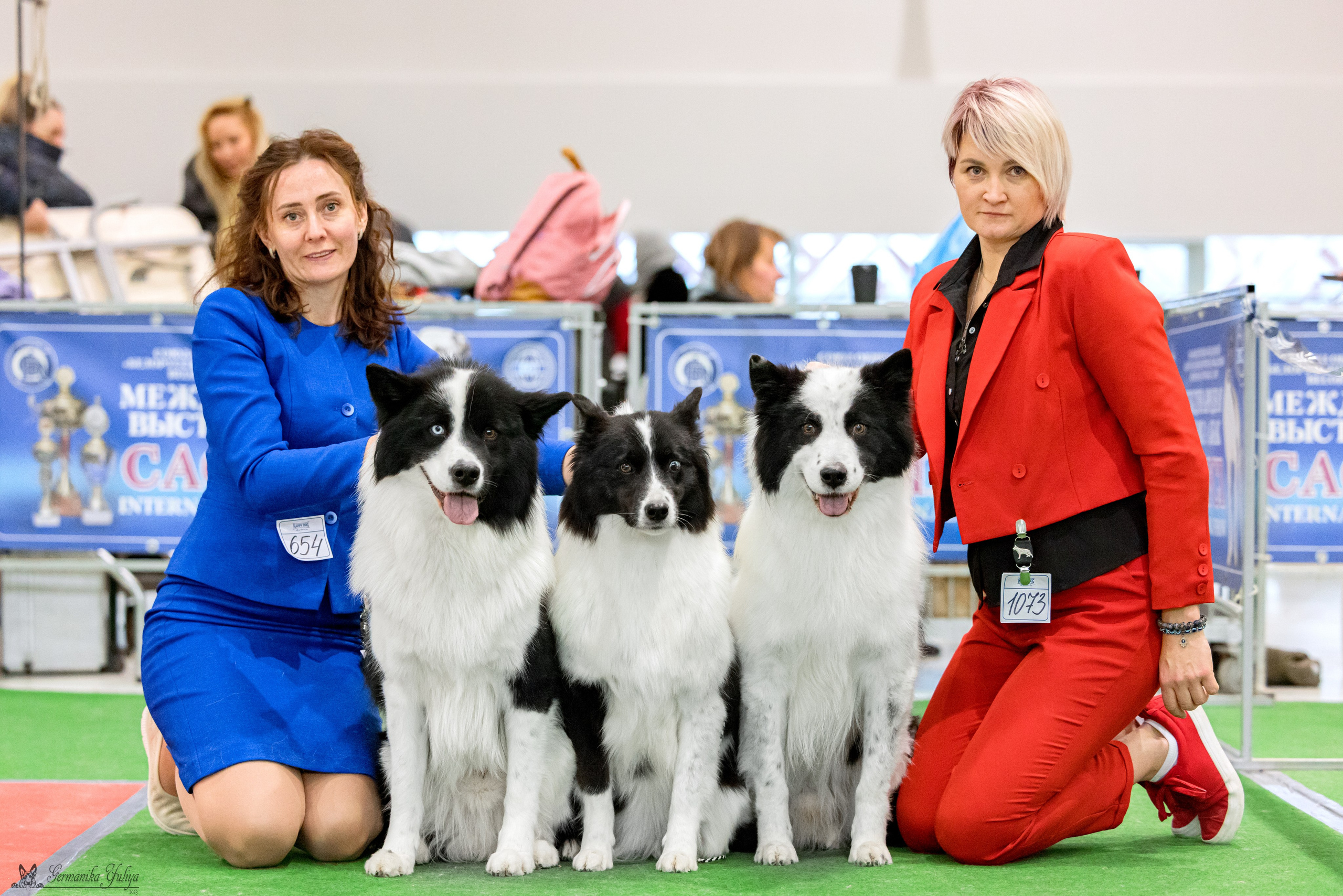 Минск 25-26.11.2023. Фотограф-анималист Юлия Германика