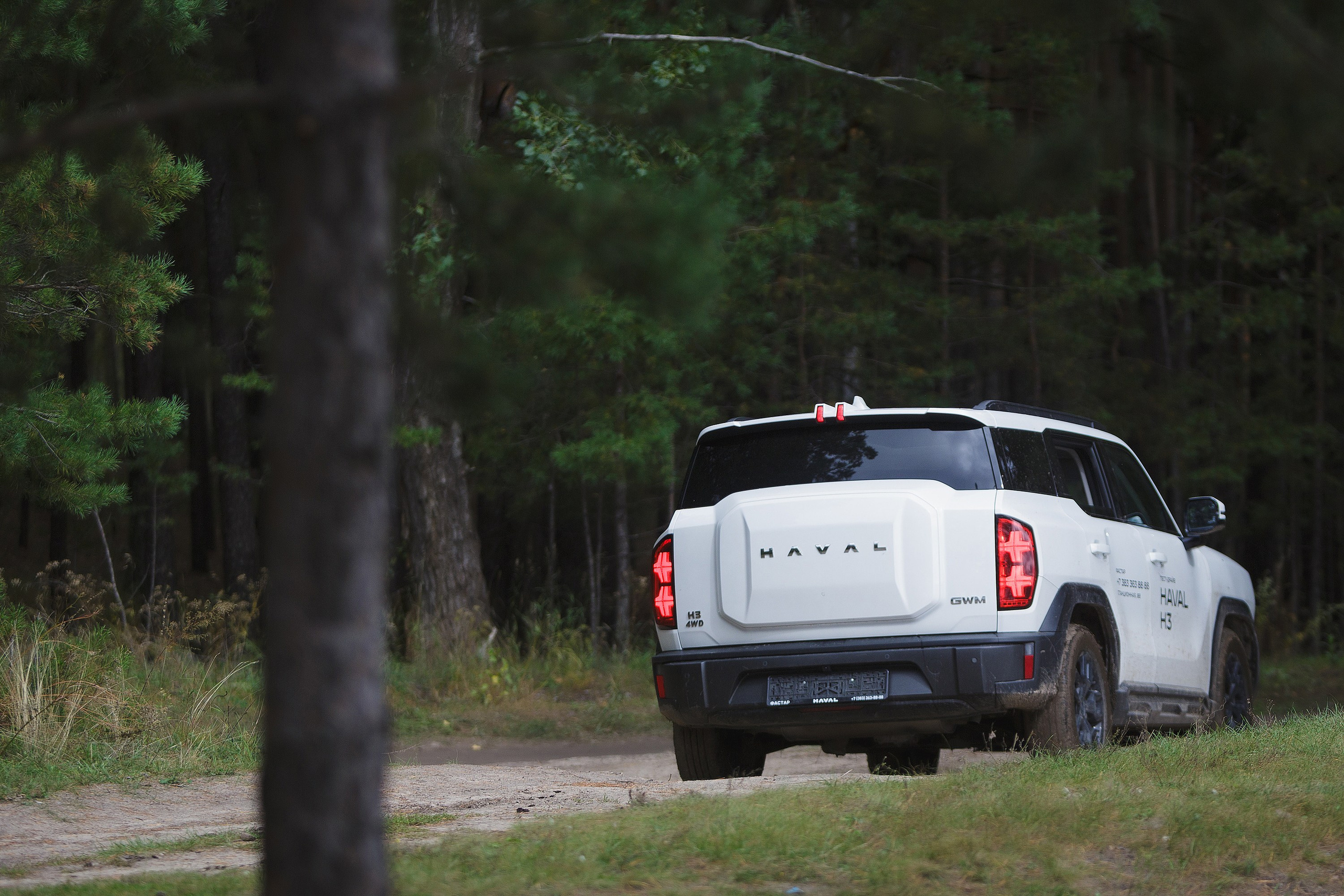 АВТО. Roman Photo