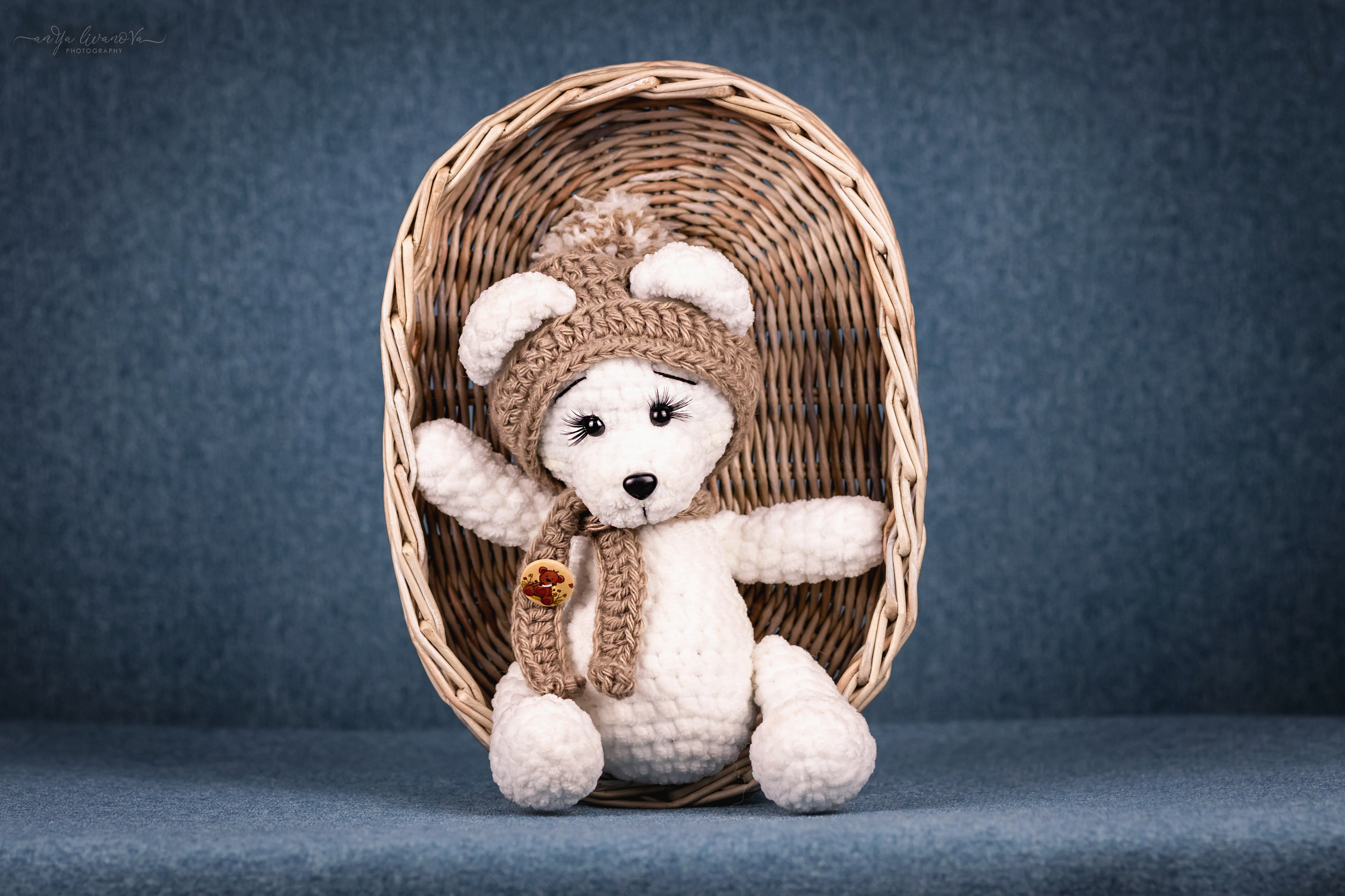 Бирюзовый фон. Фотограф анималист Аня Ливанова | Рыбинск