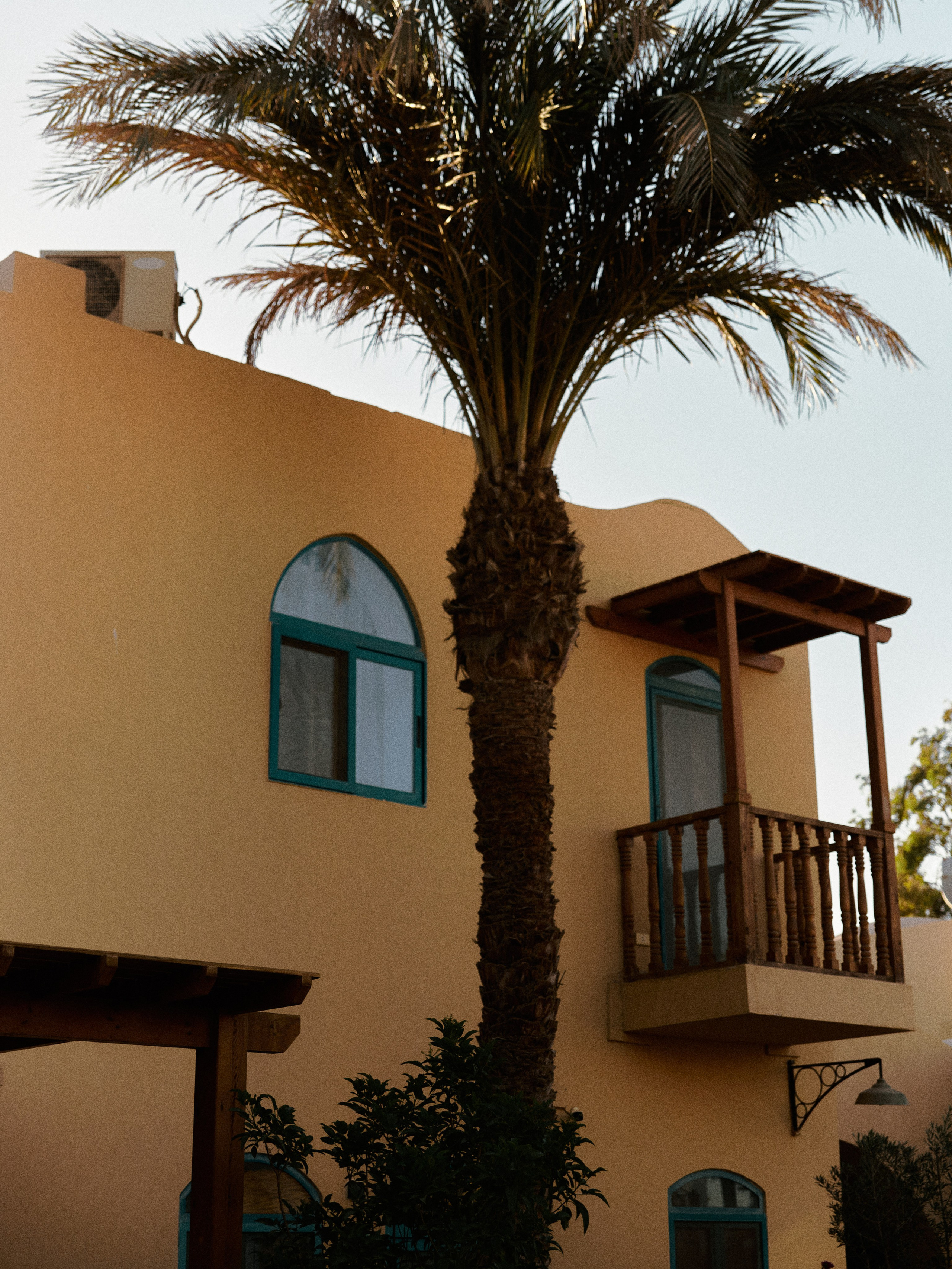 Природа сквозь. Jorgis Talè — photographer, kind person, teacher of arts and other mag