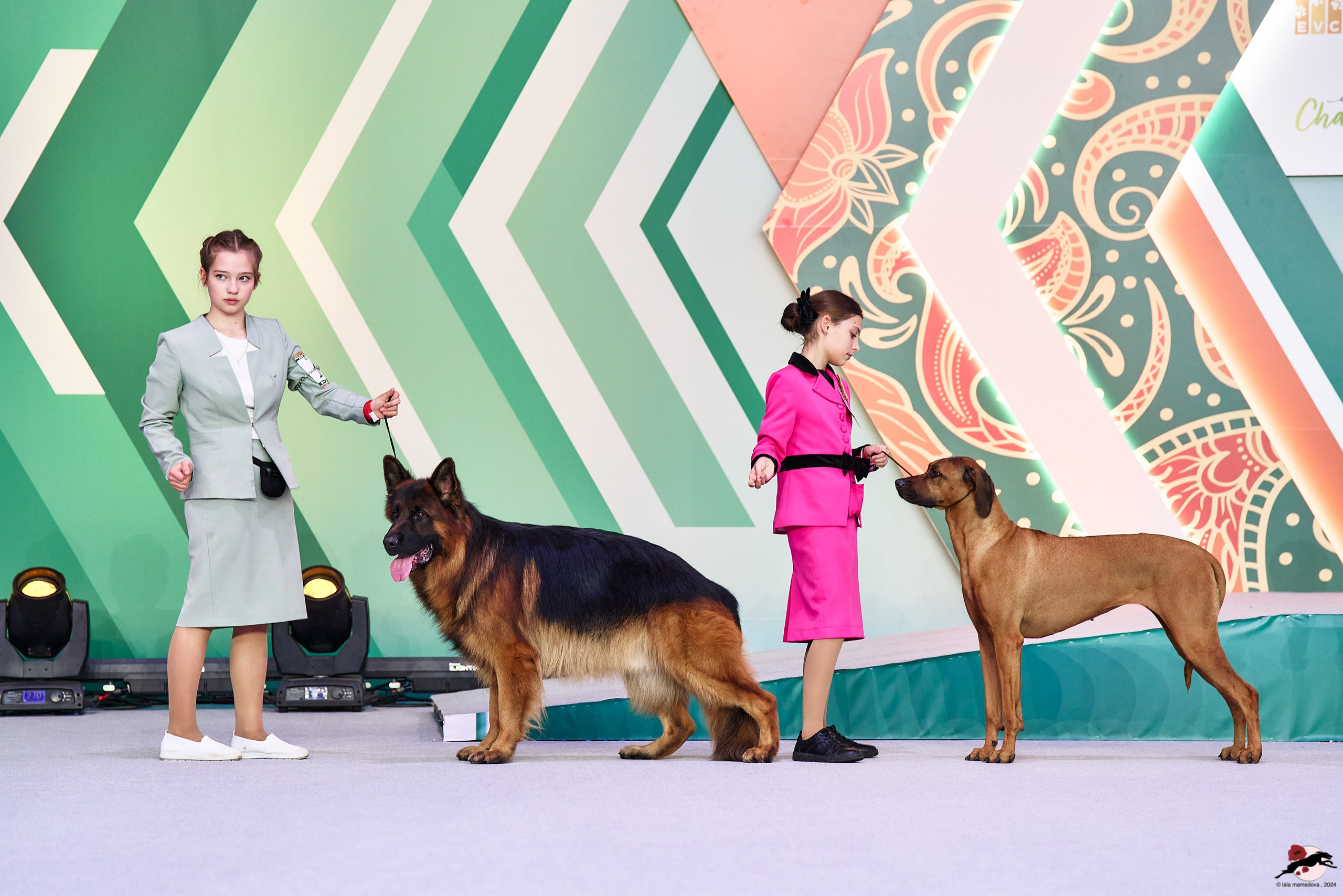 16.11.2024 «ЕВРАЗИЯ. КУБОК ПРЕЗИДЕНТА РКФ 2024»