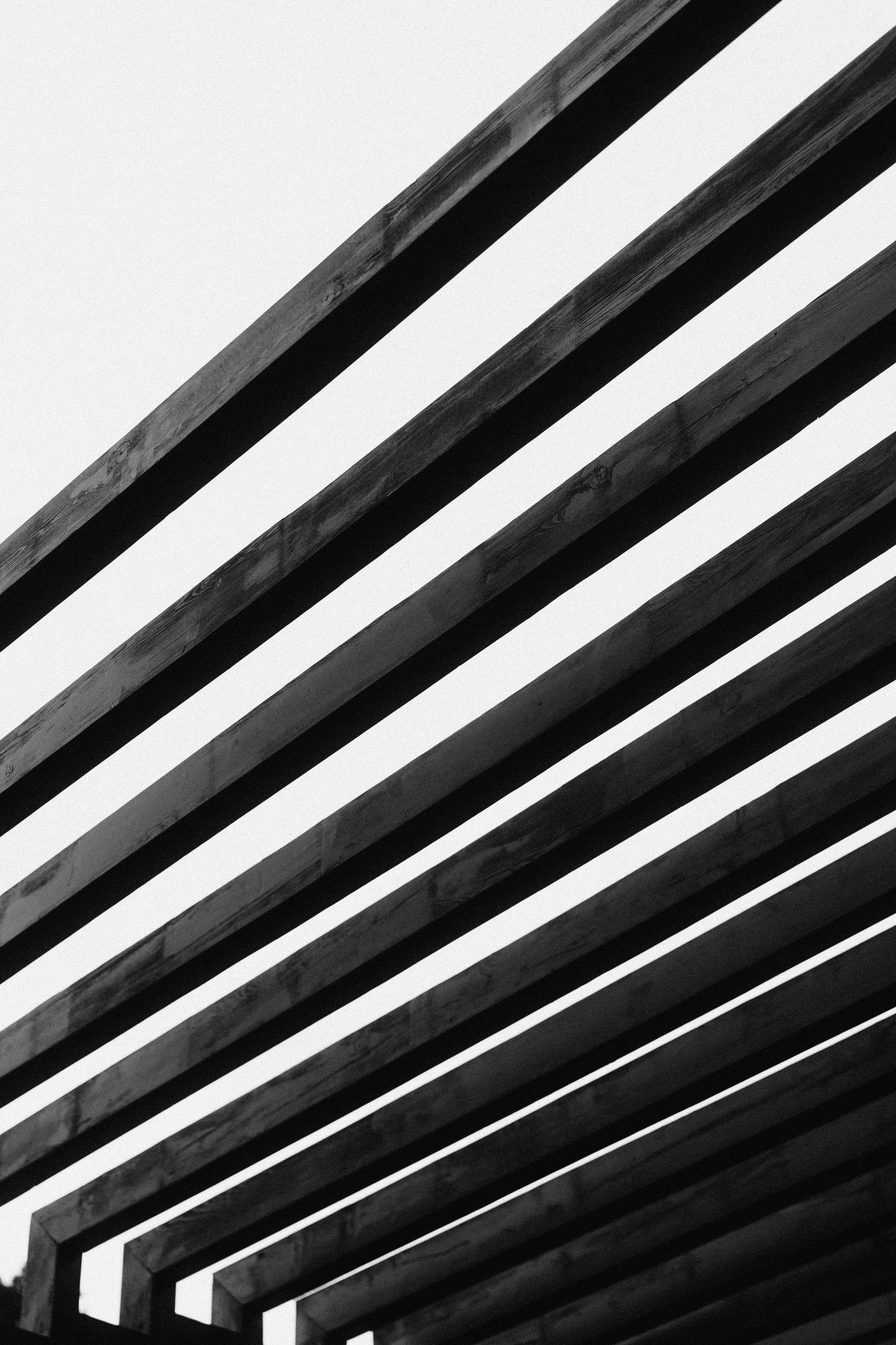 Зелёные горки. Veronika Popadeikina Photographer