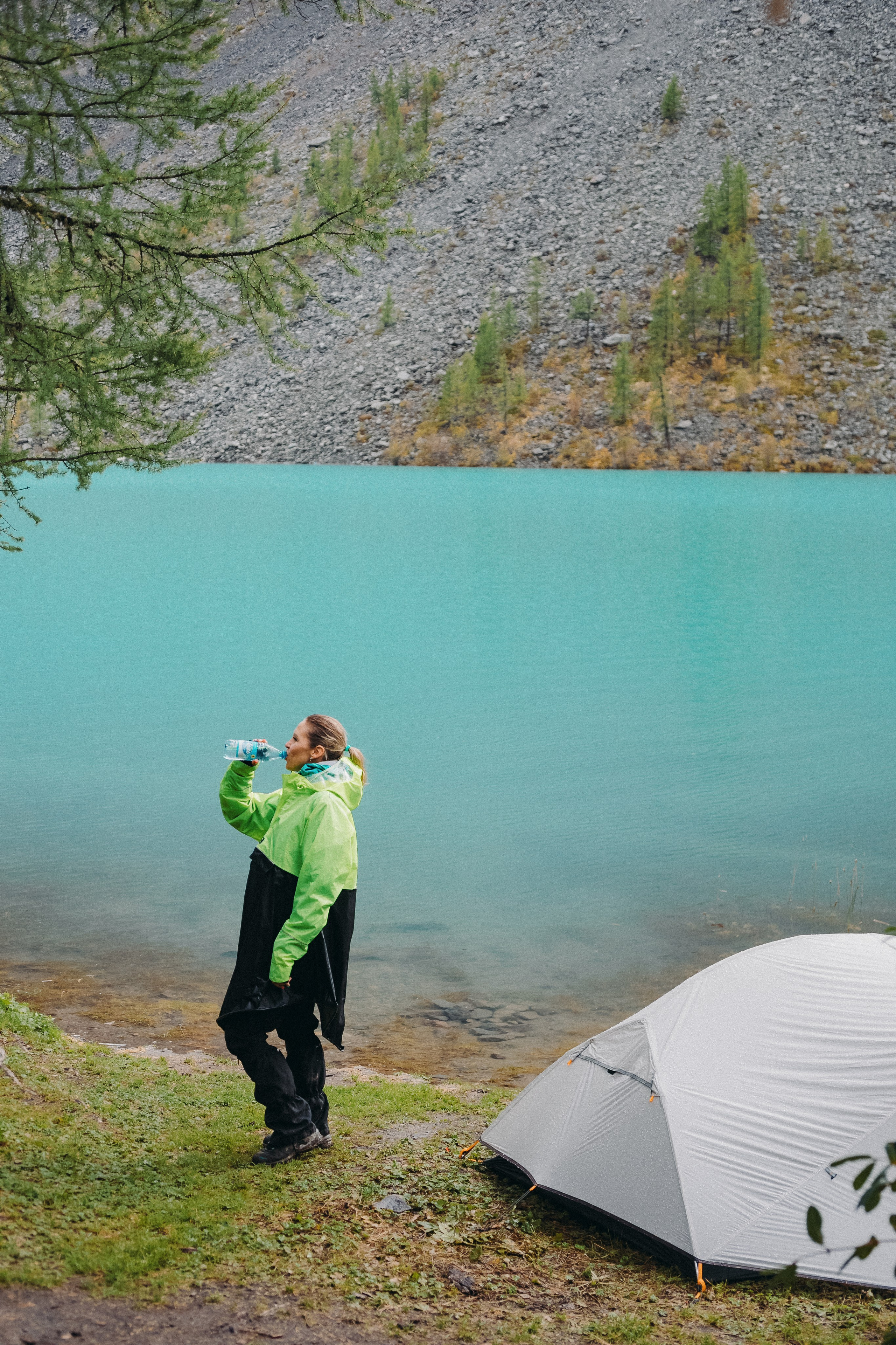 Шавлинские. Главная