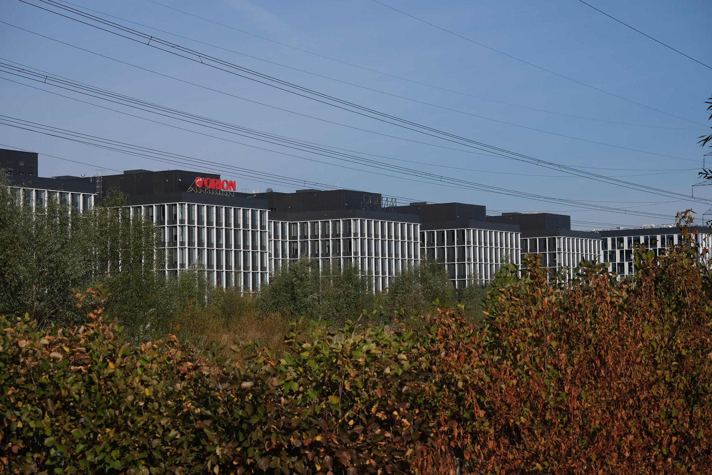 Москва. Фотографии города, архитектуры, цветов, макро, кошек. Москва