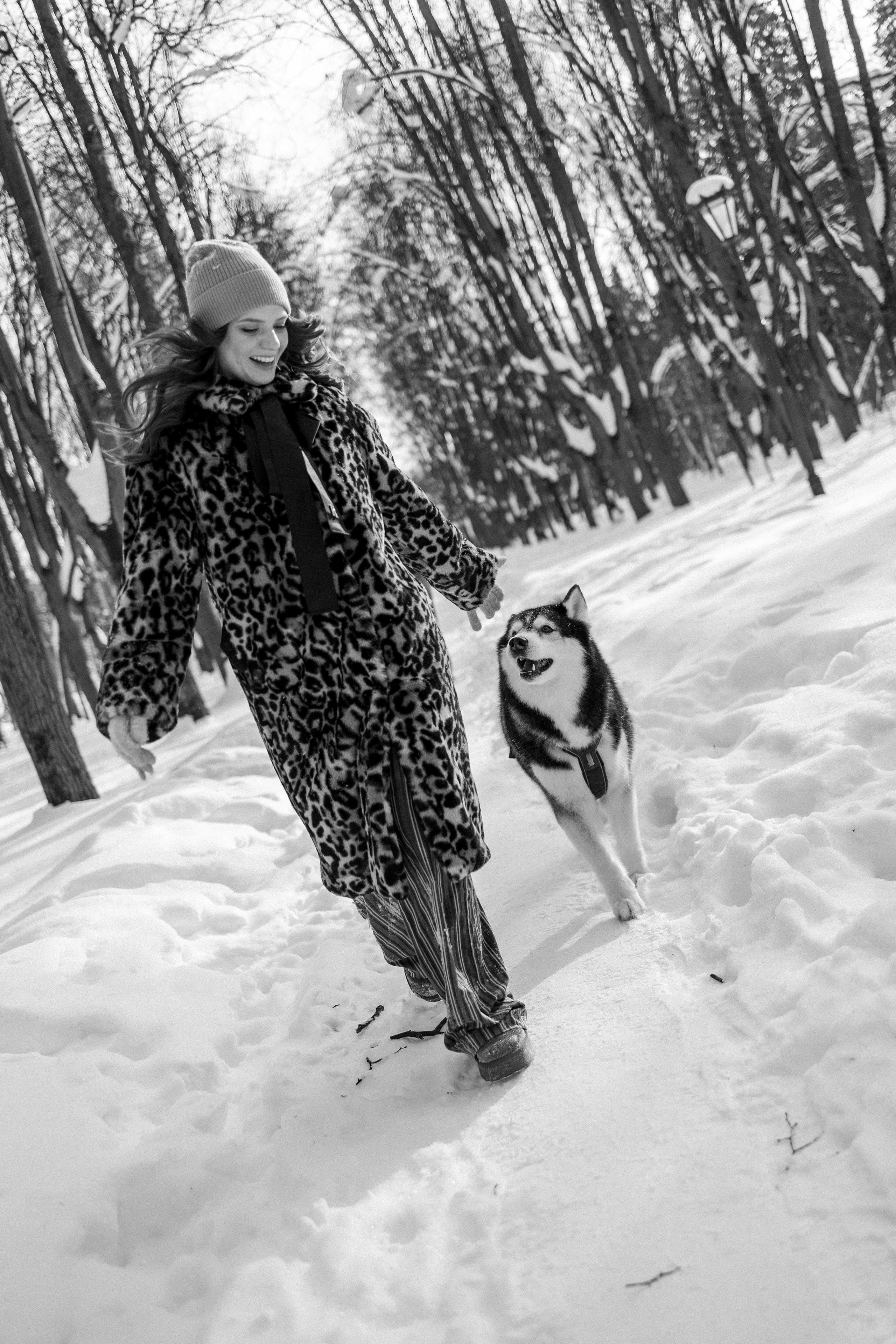 Вегас и его семья. Фотограф — Анималист | Санкт-Петербург