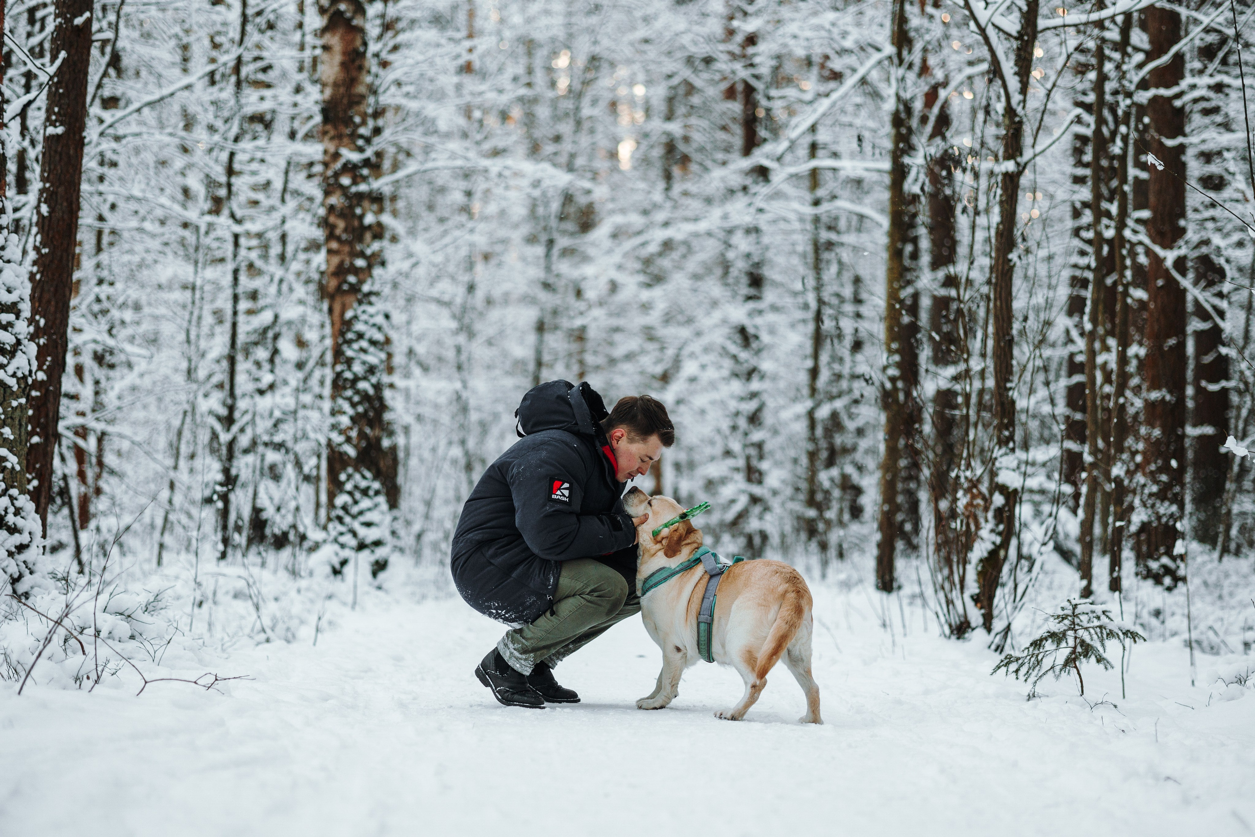 Ребята и их хвостатая семейка. Фотограф — Анималист | Санкт-Петербург