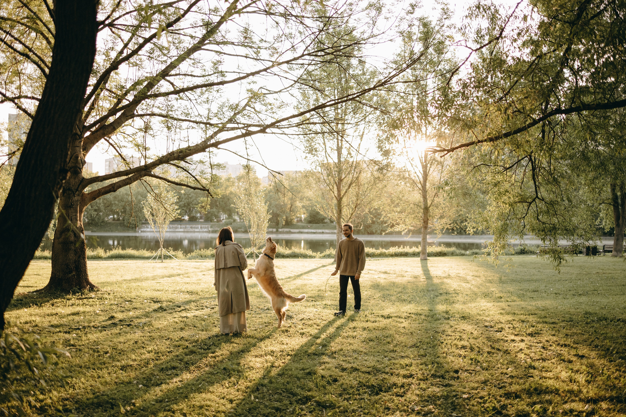 Пенни и ребята. Фотограф — Анималист | Санкт-Петербург