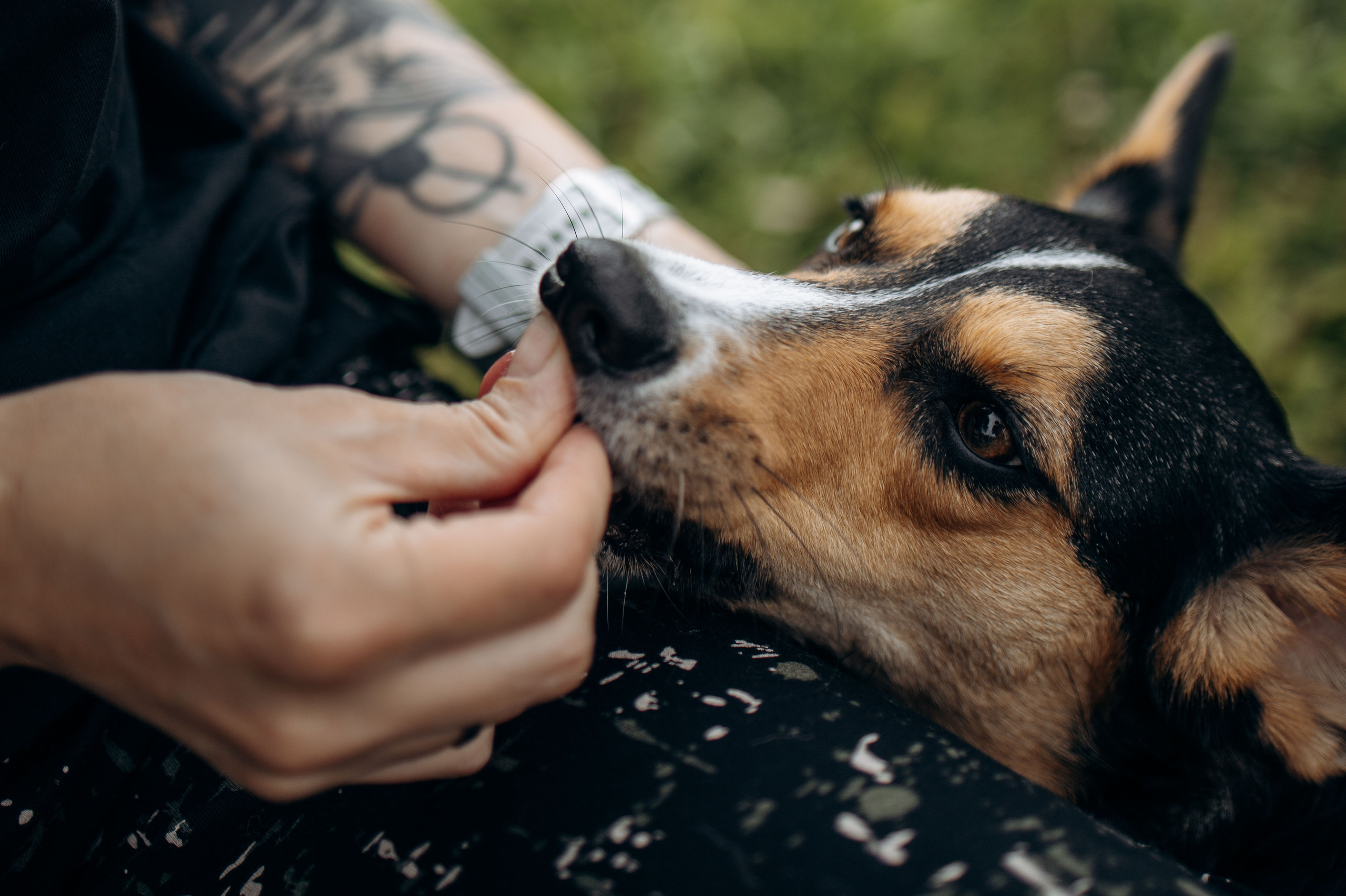 Тамара и Бусинка