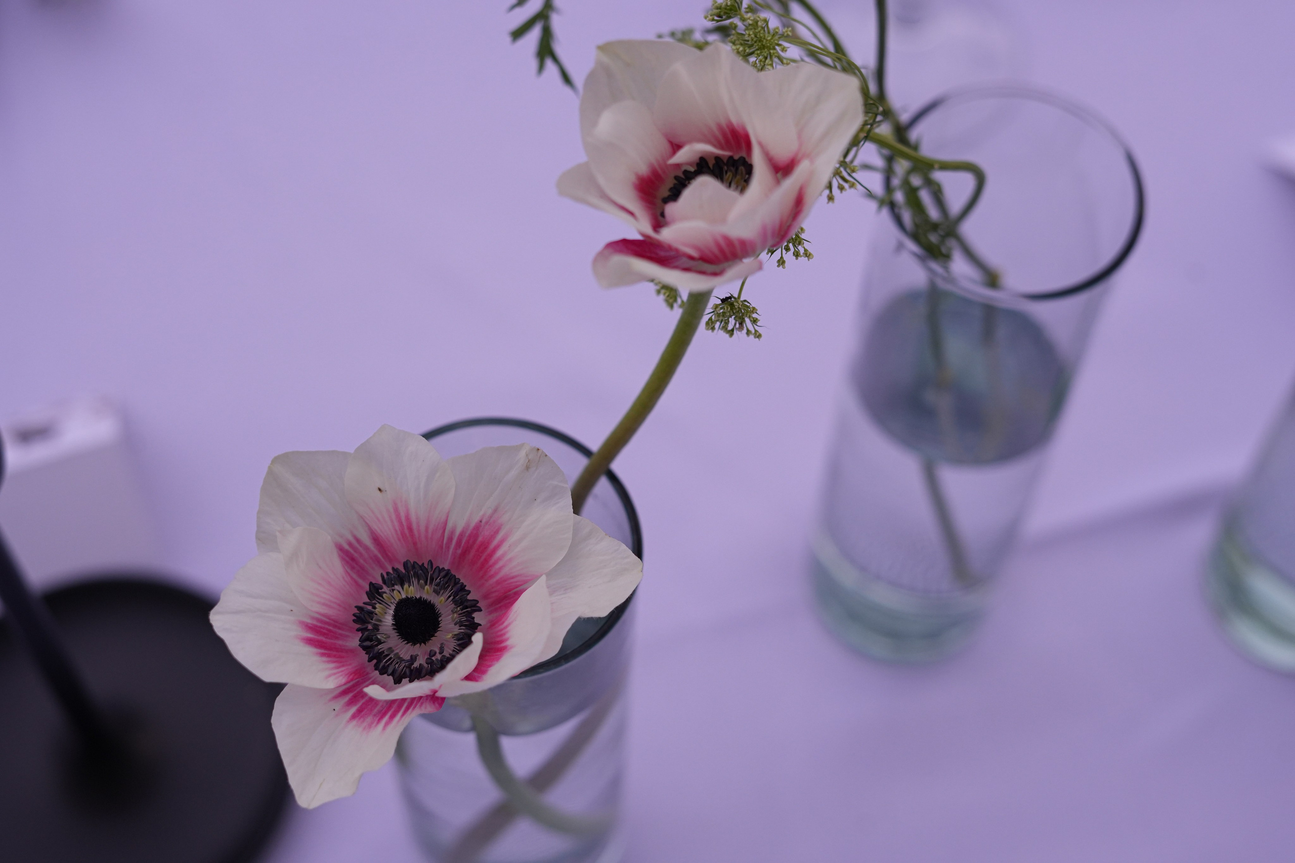 Olivia and Zack / 1 wedding day. Wedding Photographer in Barcelona and Medellin