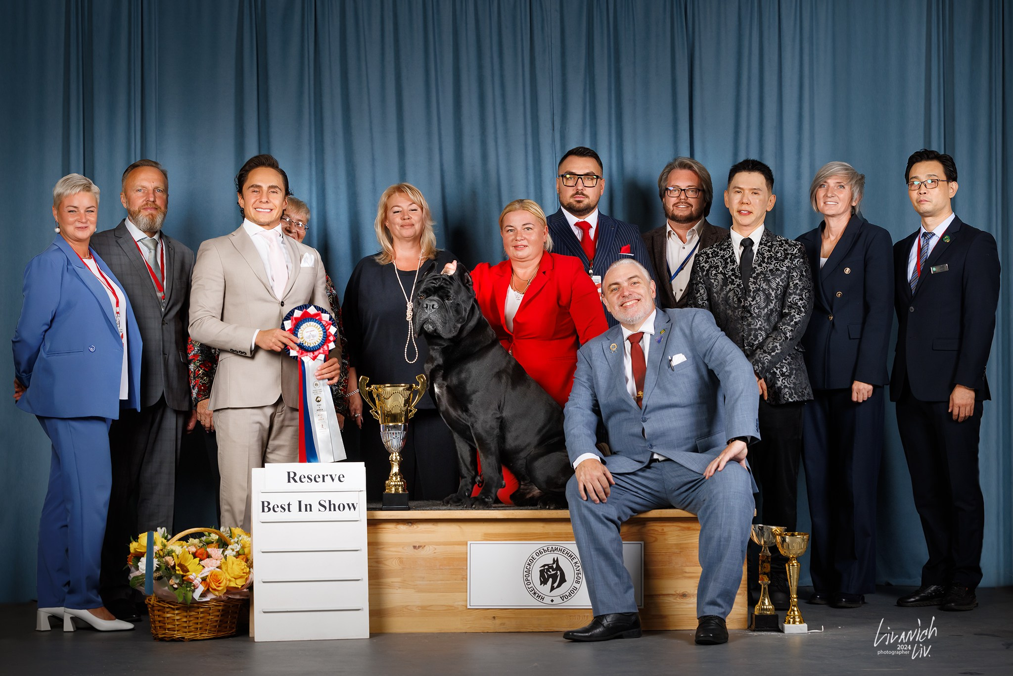 Выставки. Фотограф для вашей собаки