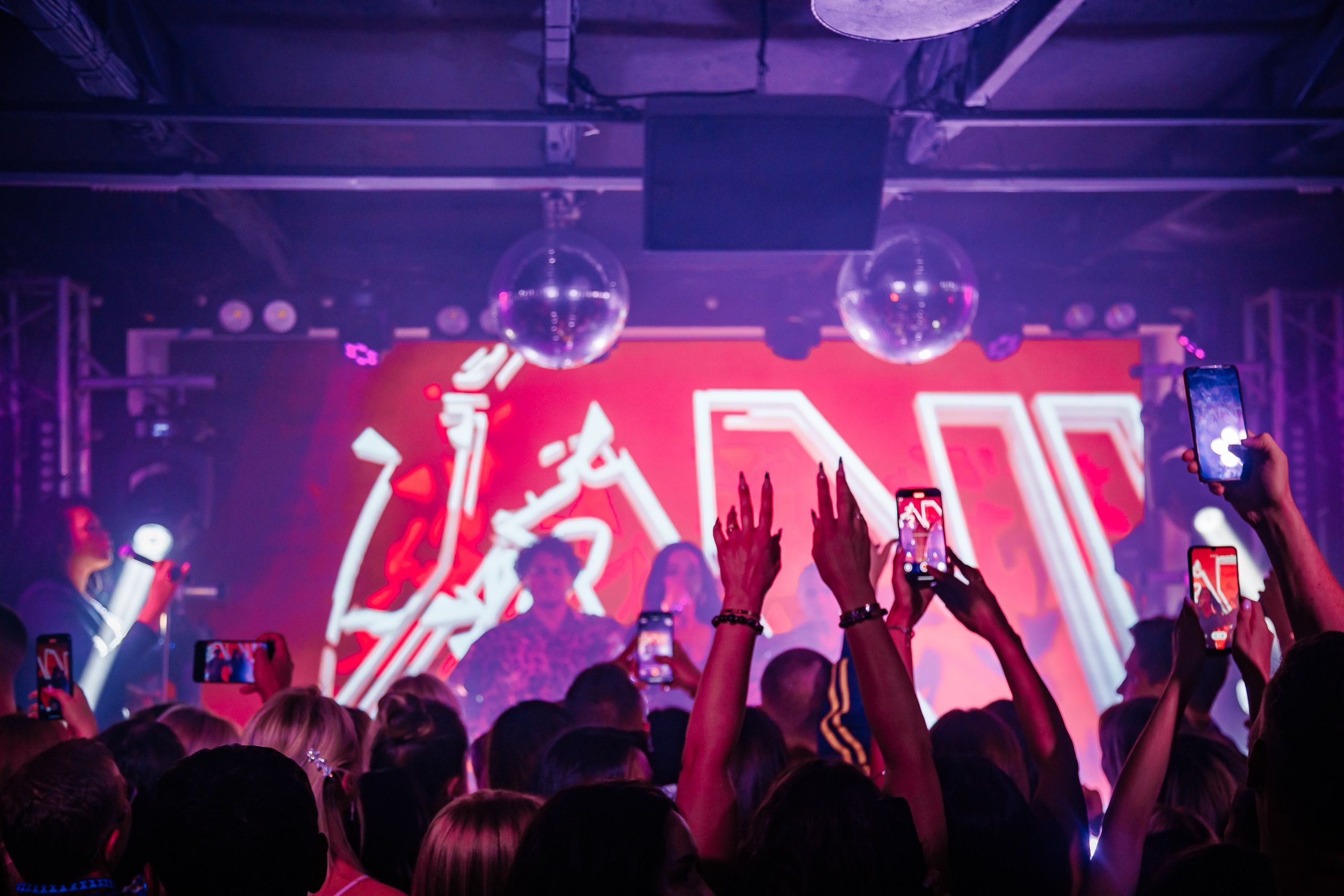 «Бьянка"_Чайка на пляже_Ялта_25.07.2025 г. Аминов Руслан | Фотограф