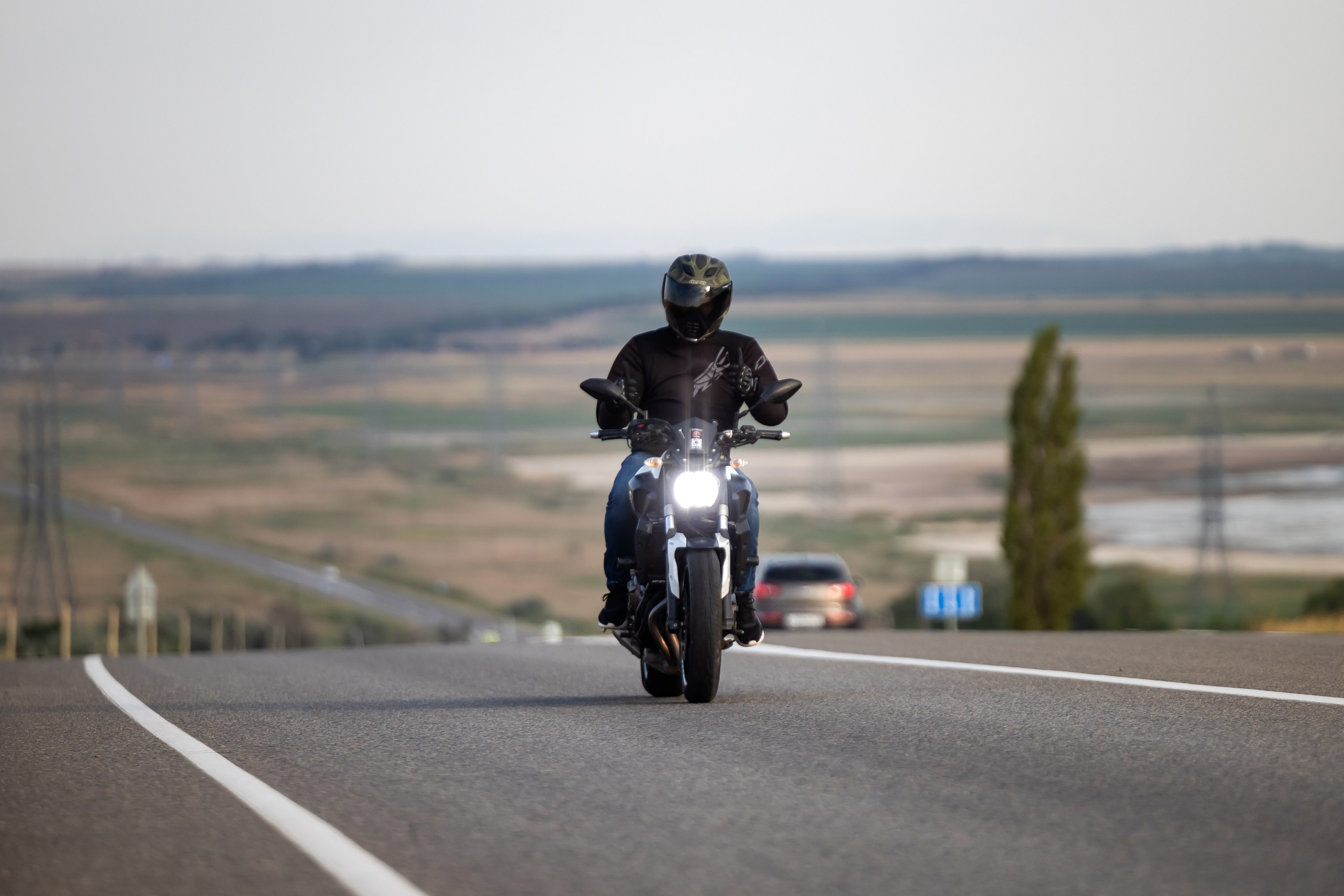 Южное мини-сафари в Тамани. Июль 2024. Фотограф Владимир Охрименко