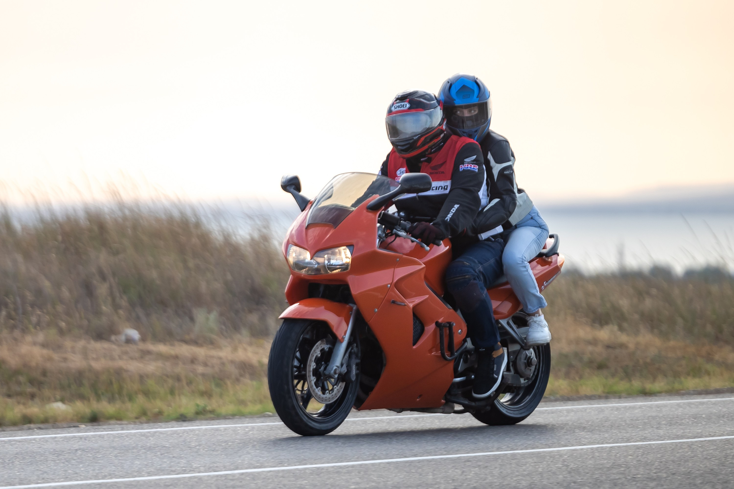 Южное мини-сафари в Тамани. Июль 2024. Фотограф Владимир Охрименко