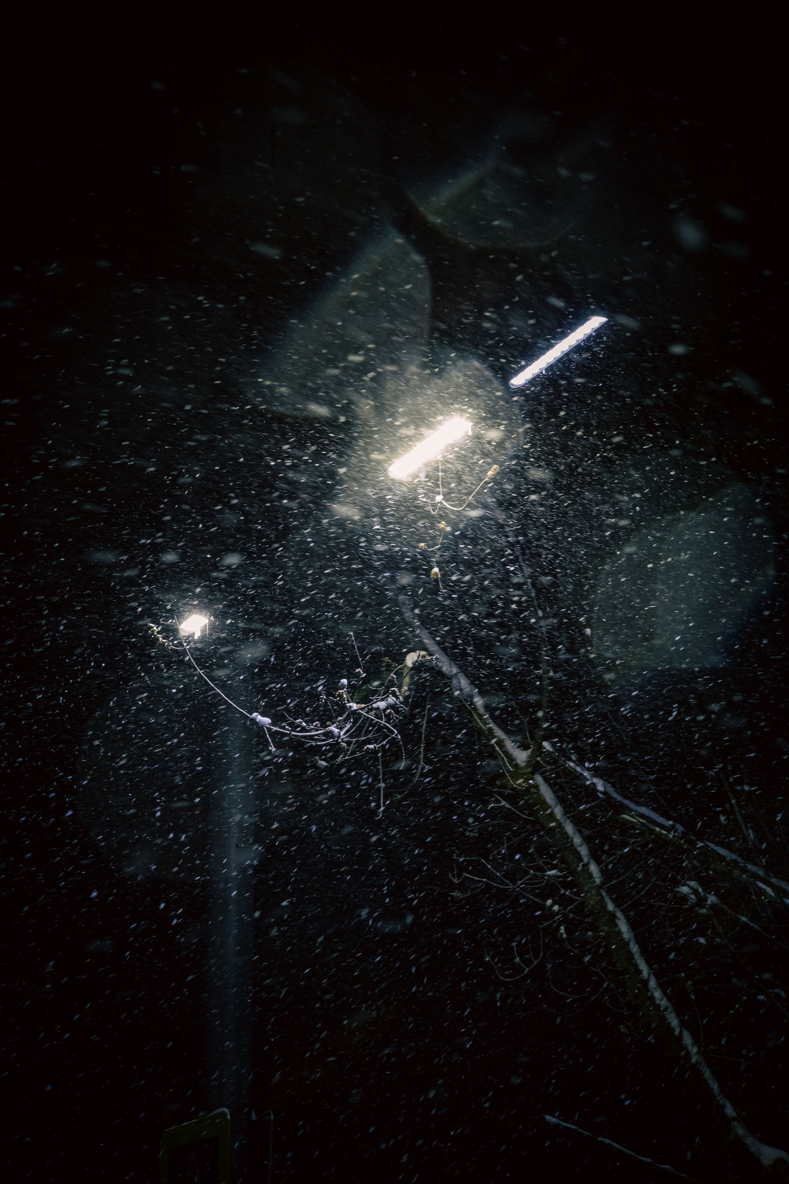 Ветер. Dmitriy [KCCC] is a pretty cool photographer