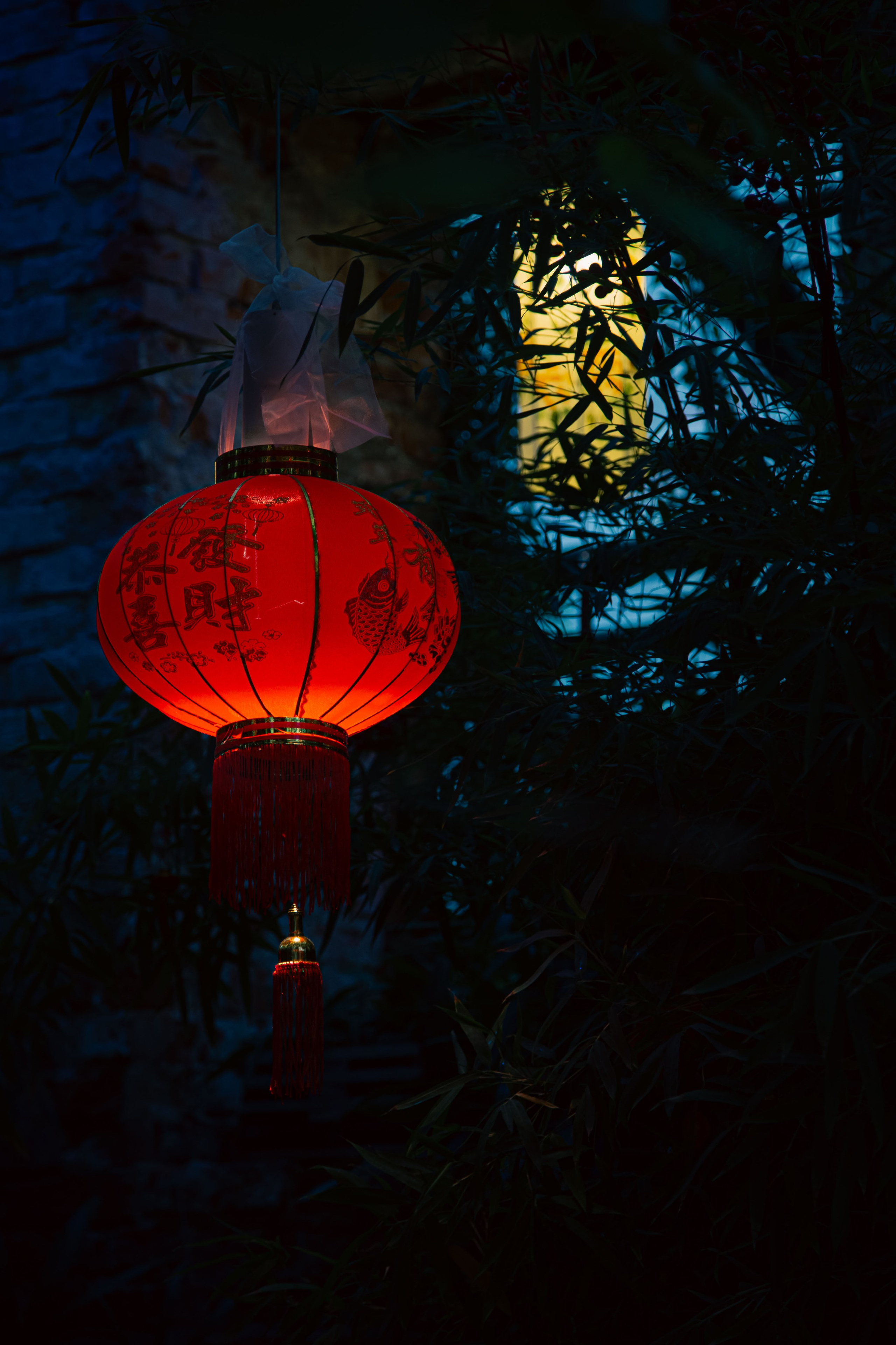 Китайский новый год 2025. Dmitriy [KCCC] is a pretty cool photographer