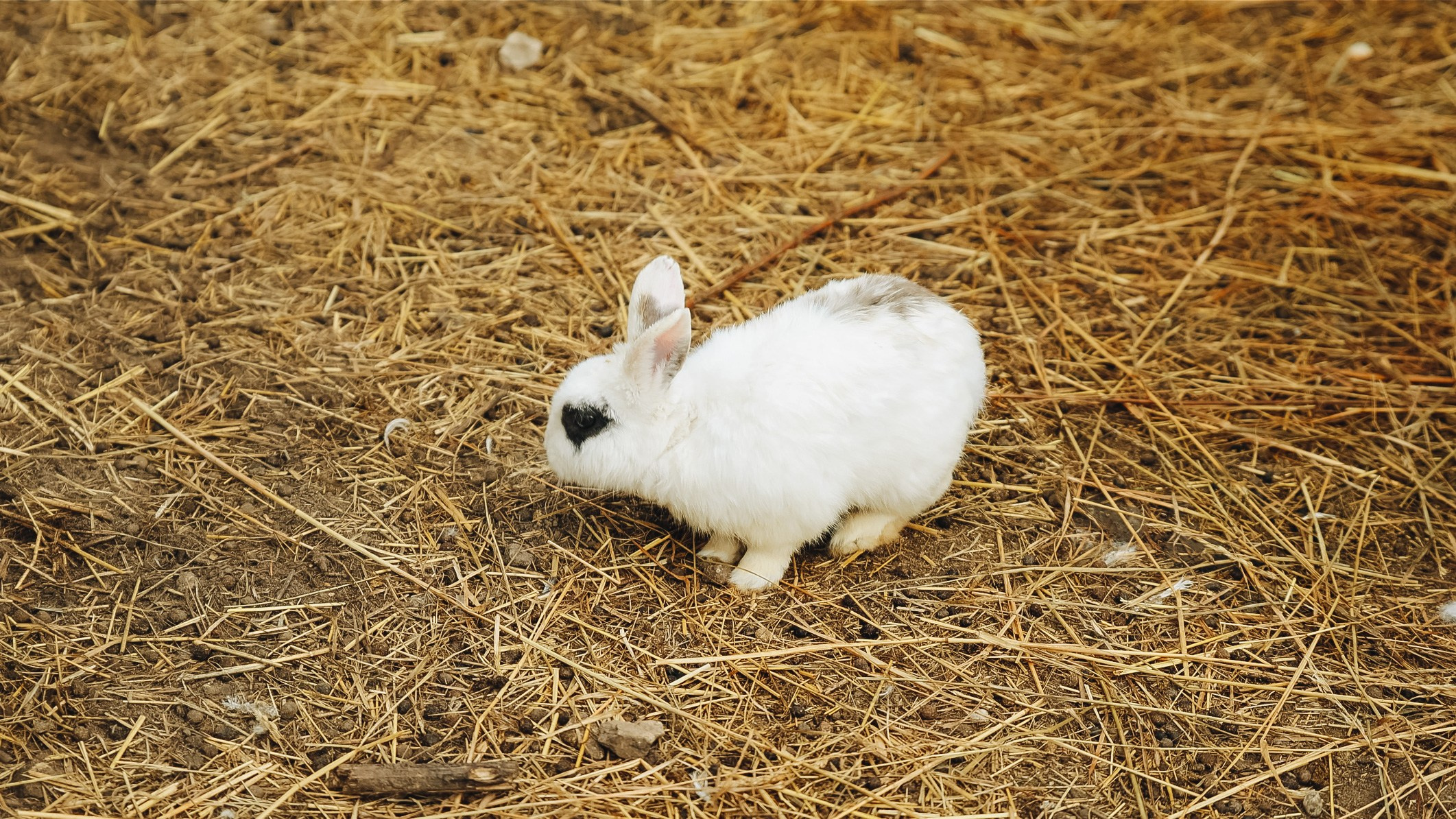 Тур — девичник LEF.TRAVEL.CLUB. KRIS KRUPINNIKOVA