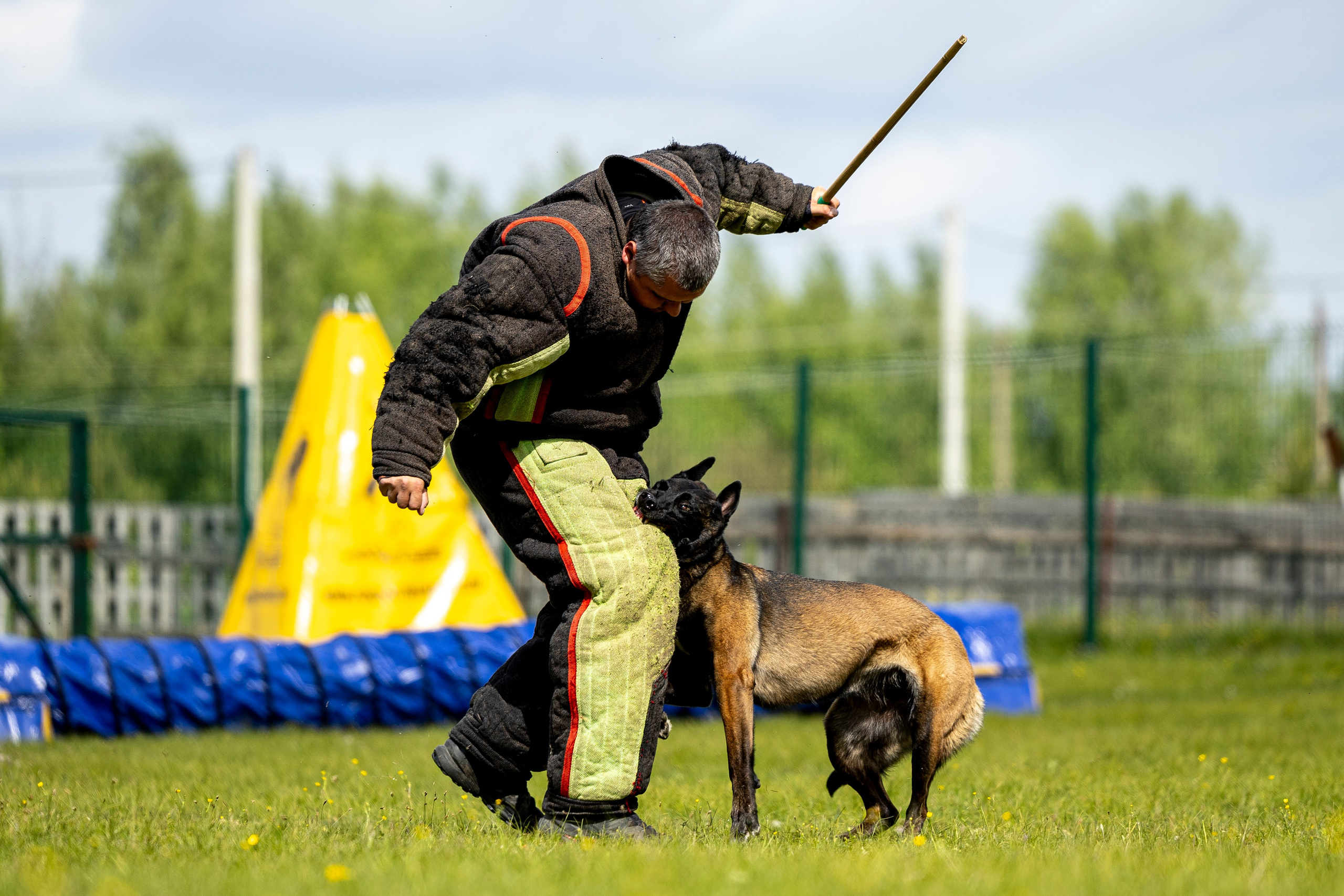 Испытания по мондьорингу в Нижнем Новгороде. Фотограф-анималист Анна Маринич