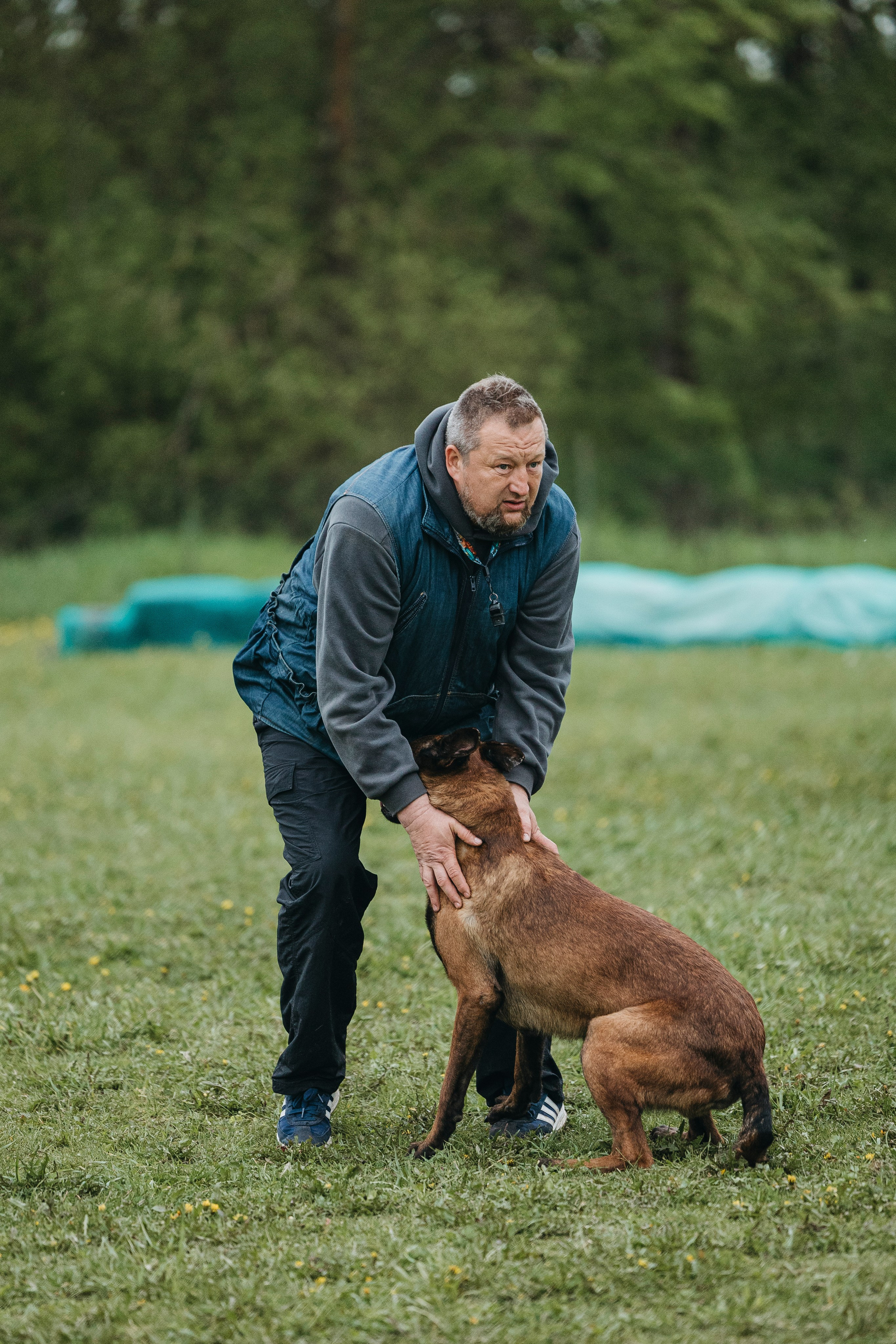 26.05.25 г. Пушкин квалификационные соревнования. Фотограф-анималист Анна Маринич