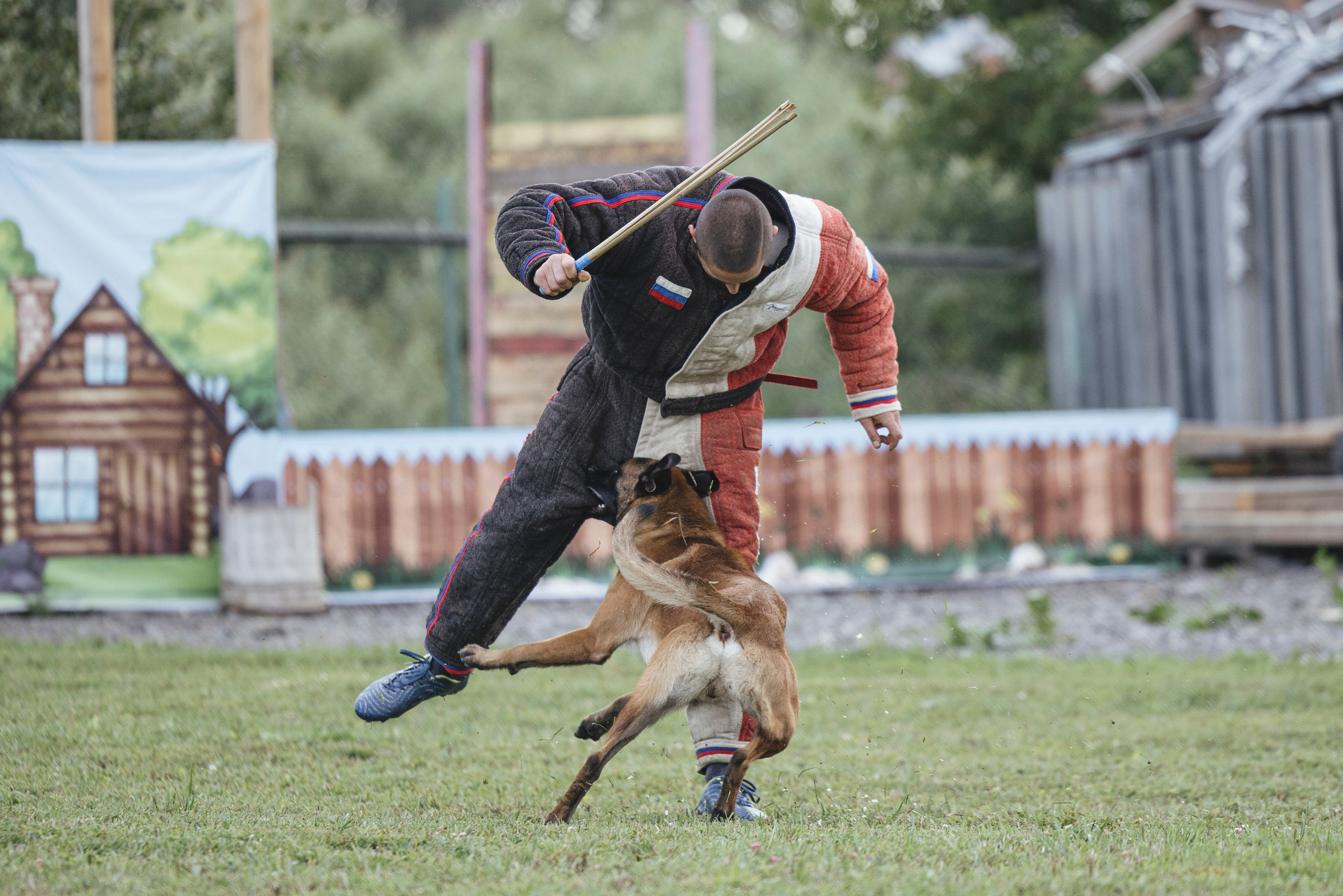 08.08.25-10.08.25 ЧР по мондьорингу г. Вологда. Фотограф-анималист Анна Маринич