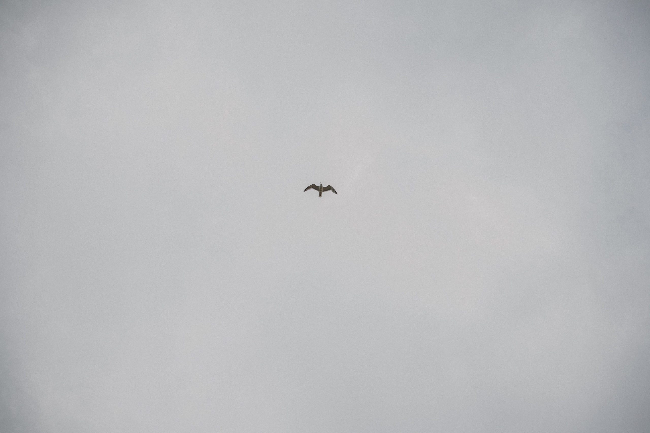 Игорь и Аида. Свадебные фотографы в г. Сургут Маркова Наталья и Замахина Елена