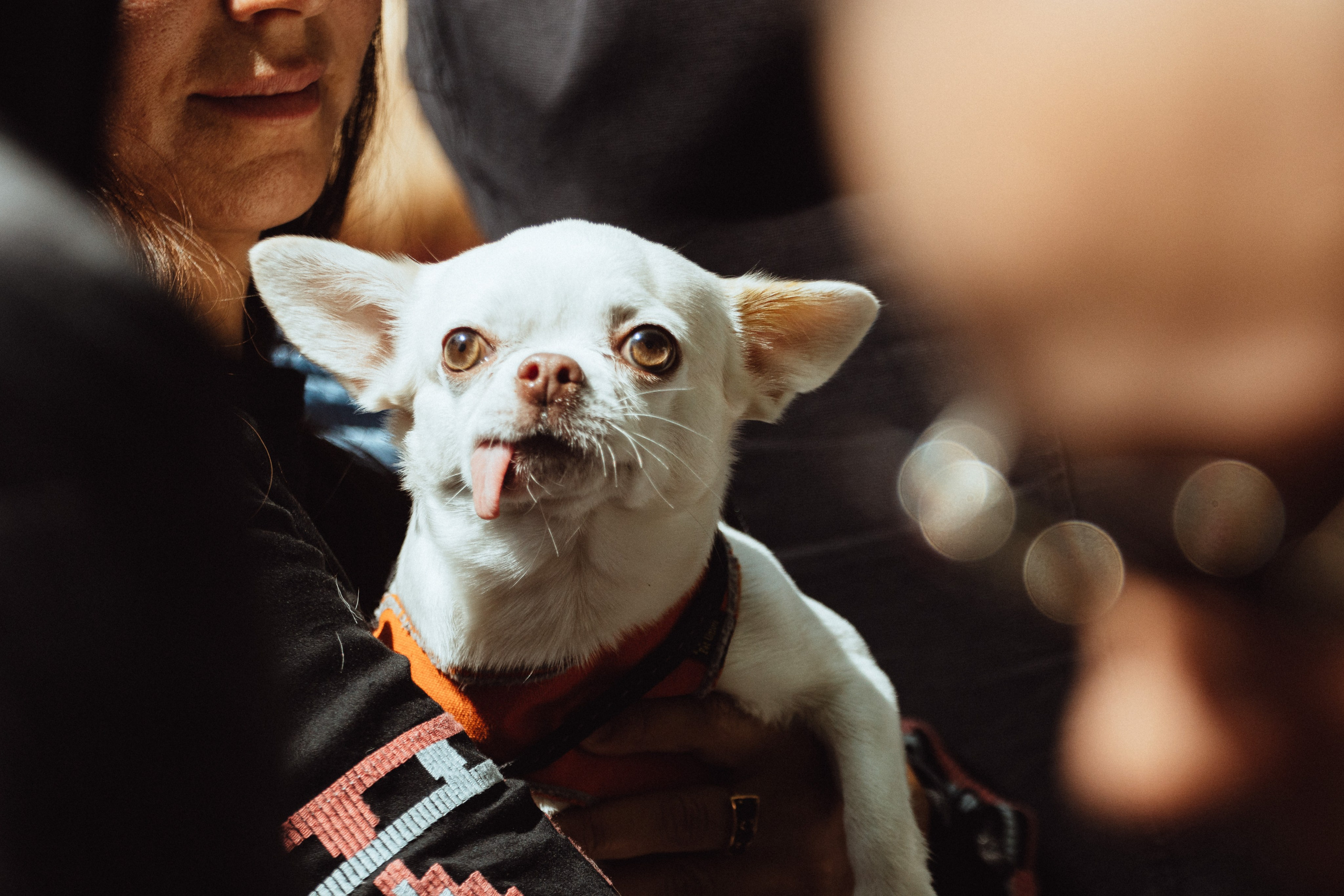 9 Мая 2024. Портреты. Репортаж. KRIS KRUPINNIKOVA