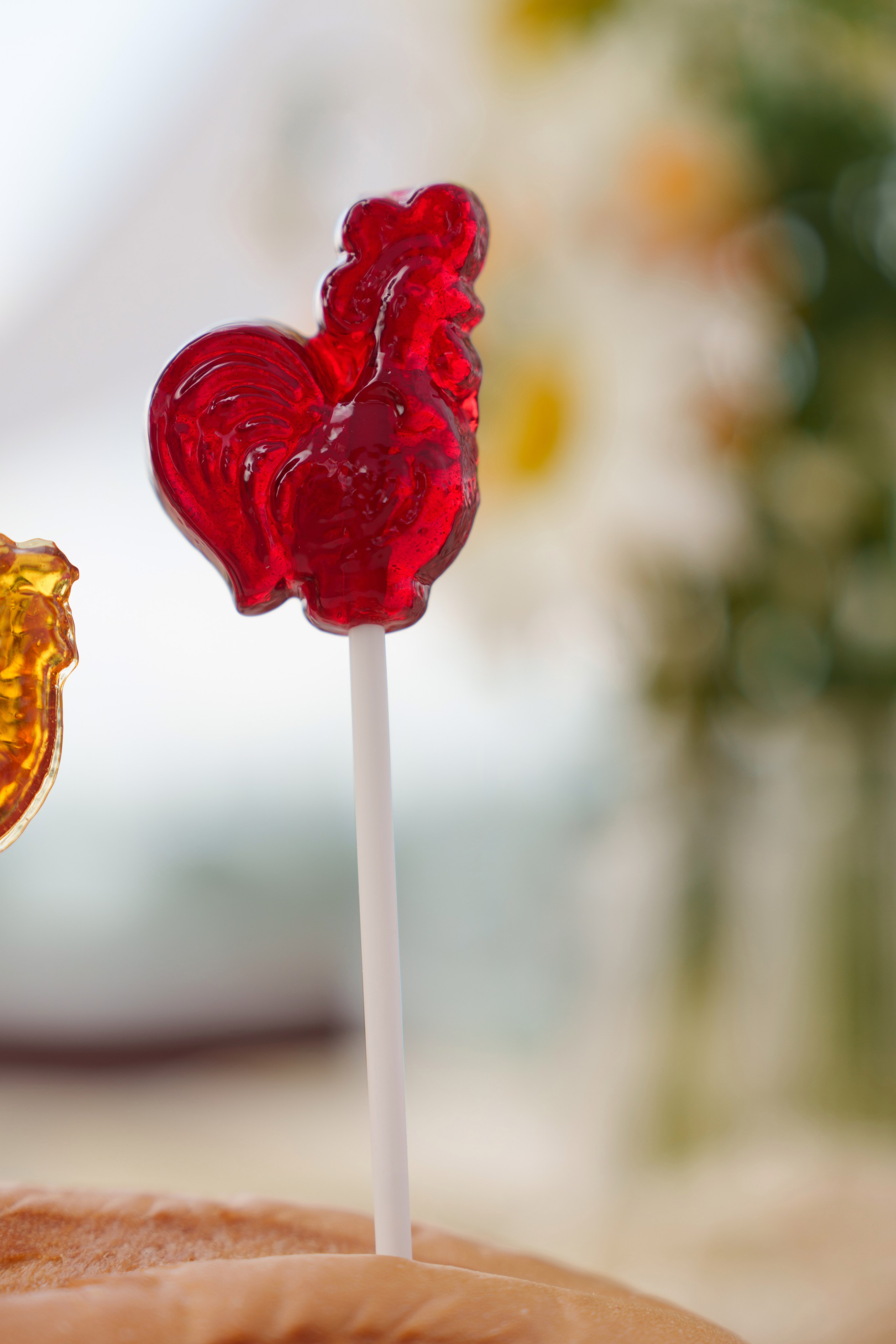 Михаил и Ольга (банкетная часть г. Брянск). Свадебный и репортажный фотограф Элина Козырьянова