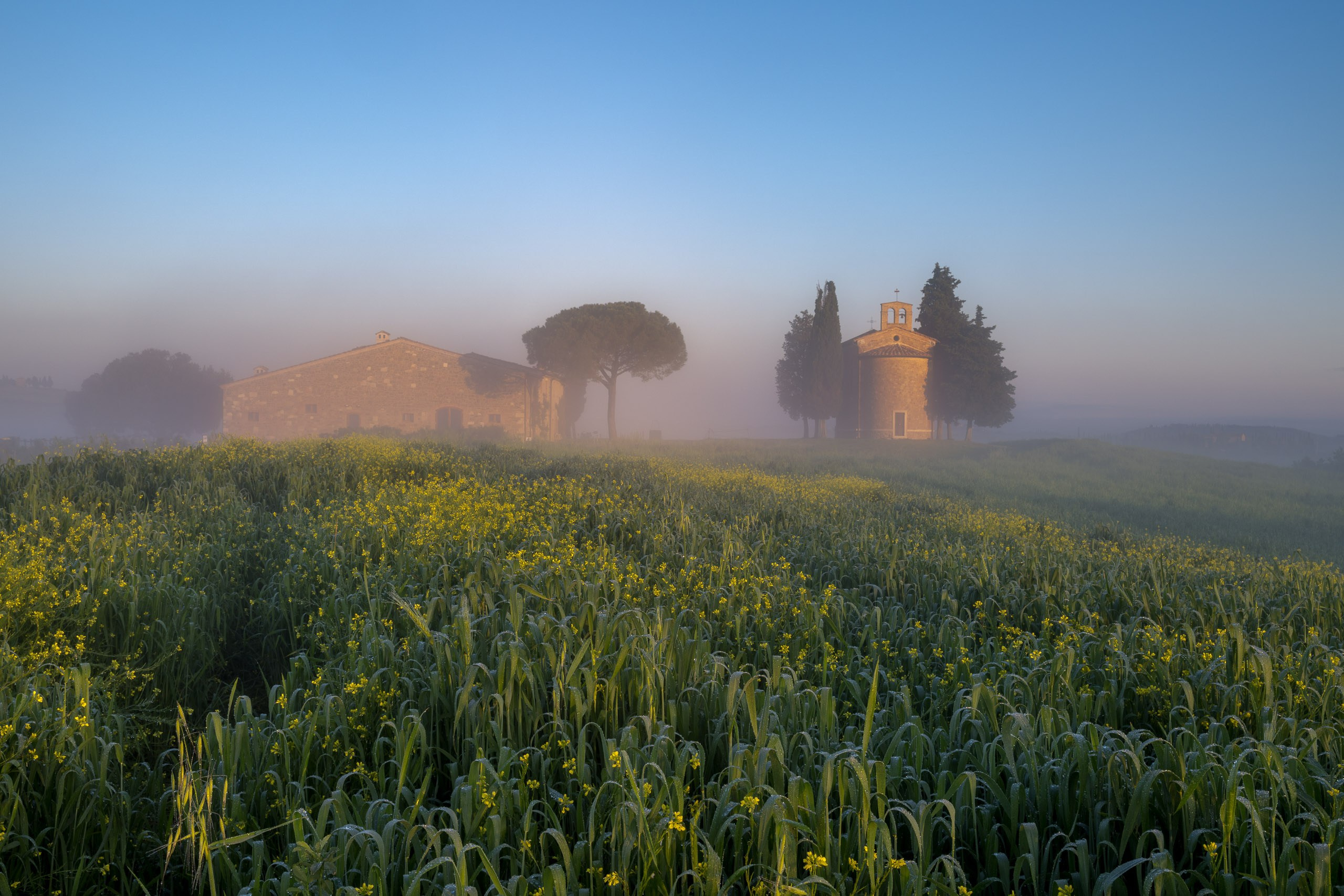 Авторская фотография для интерьеров. Тоскана, Италия