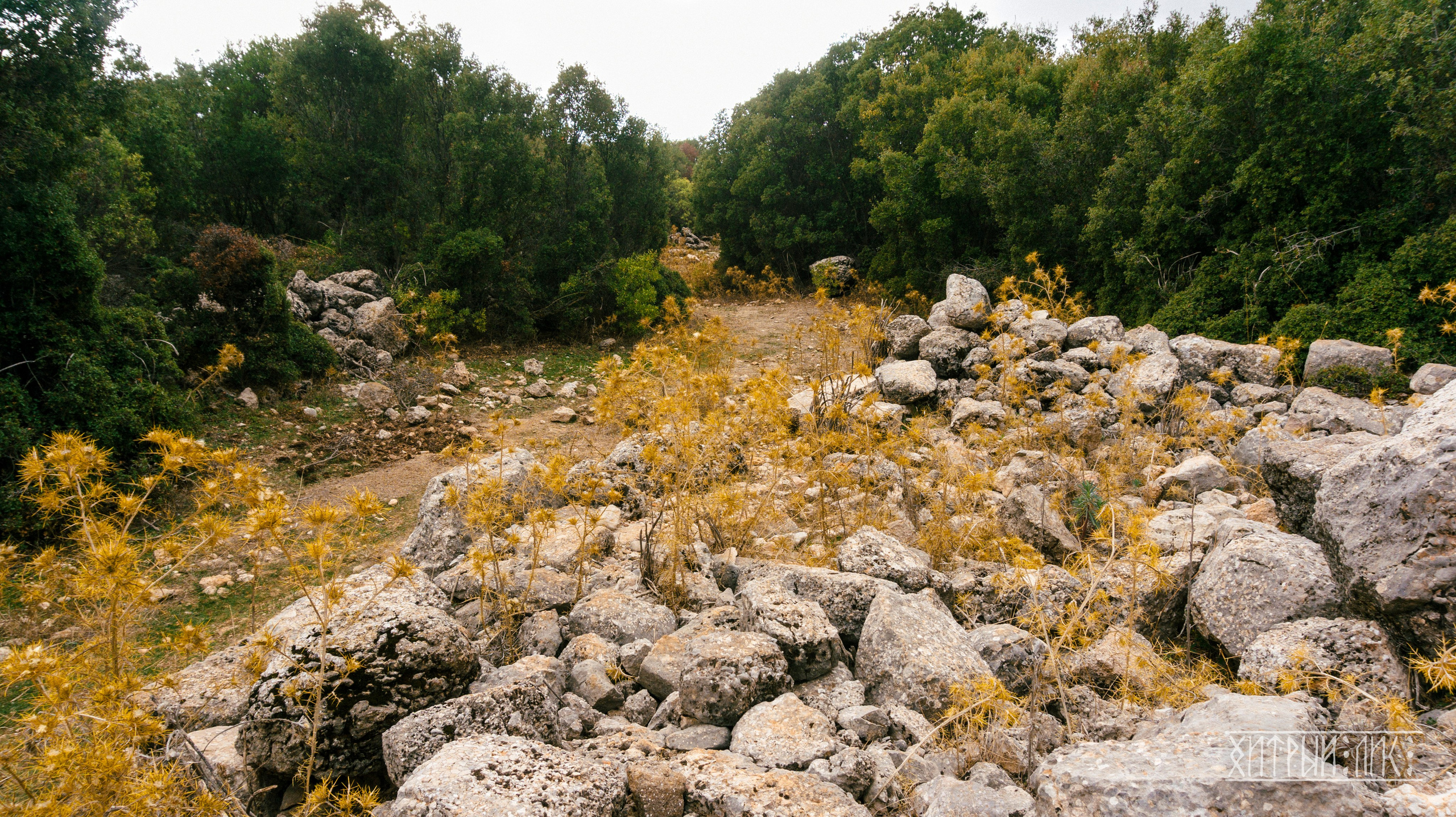 Турция. Ликийский путь. Фотограф-путешественник Самойлов Максим «Sly Fox»