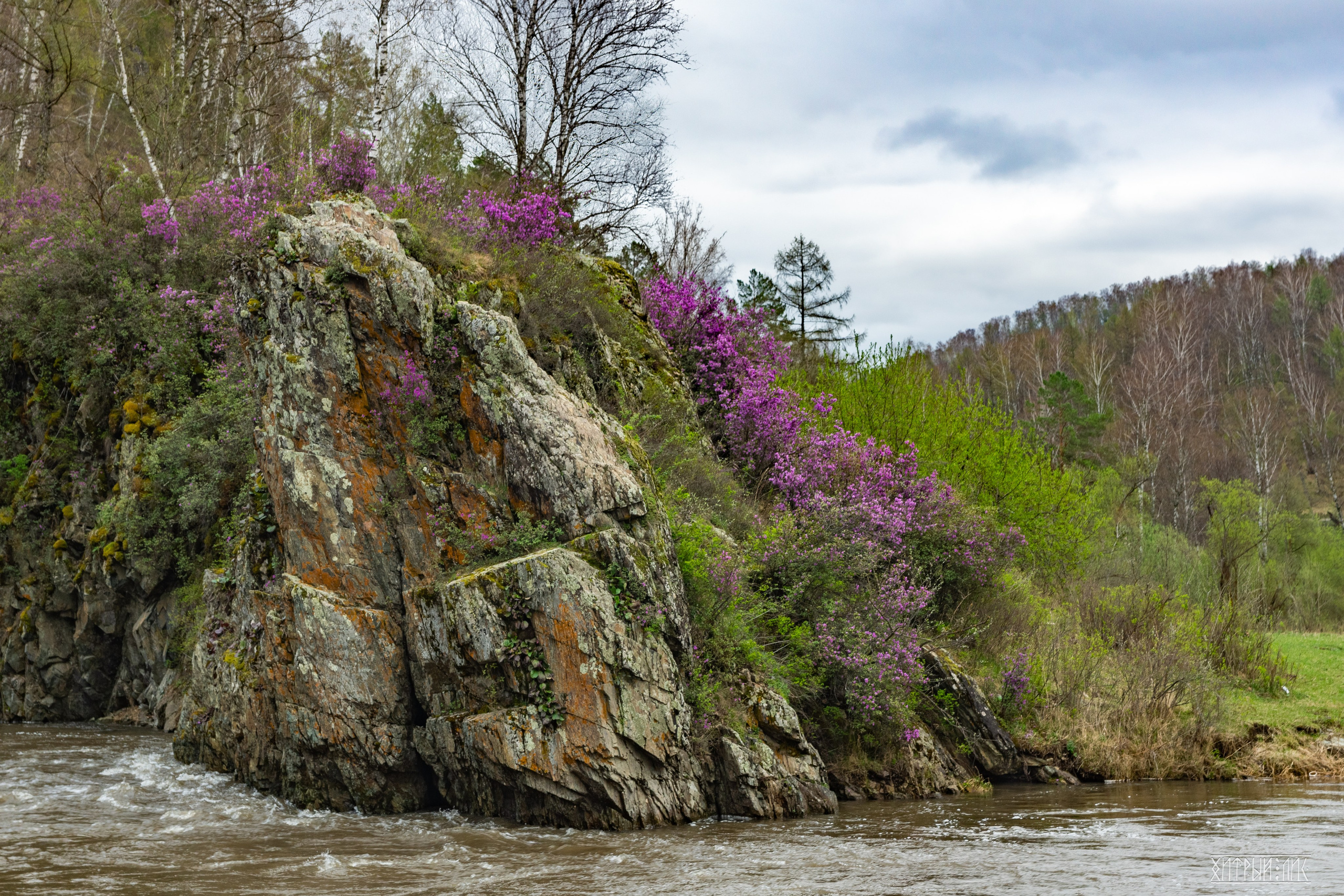 Алтай. Фотограф-путешественник Самойлов Максим «Sly Fox»
