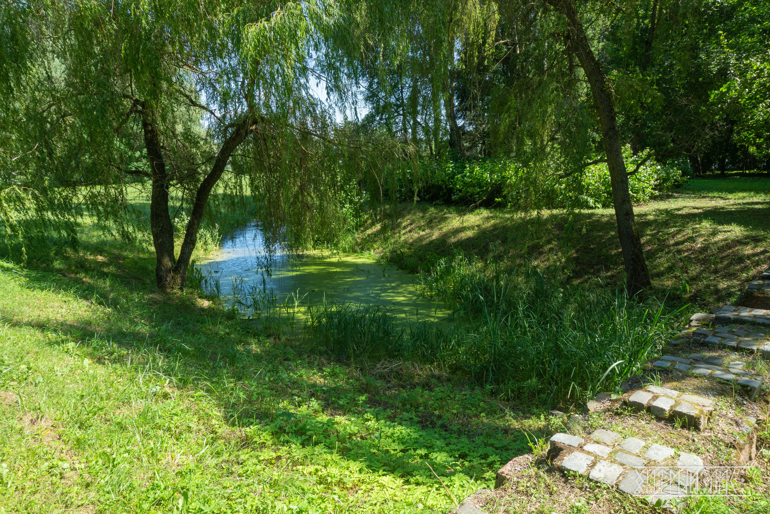 Беларусь. Фотограф-путешественник Самойлов Максим «Sly Fox»