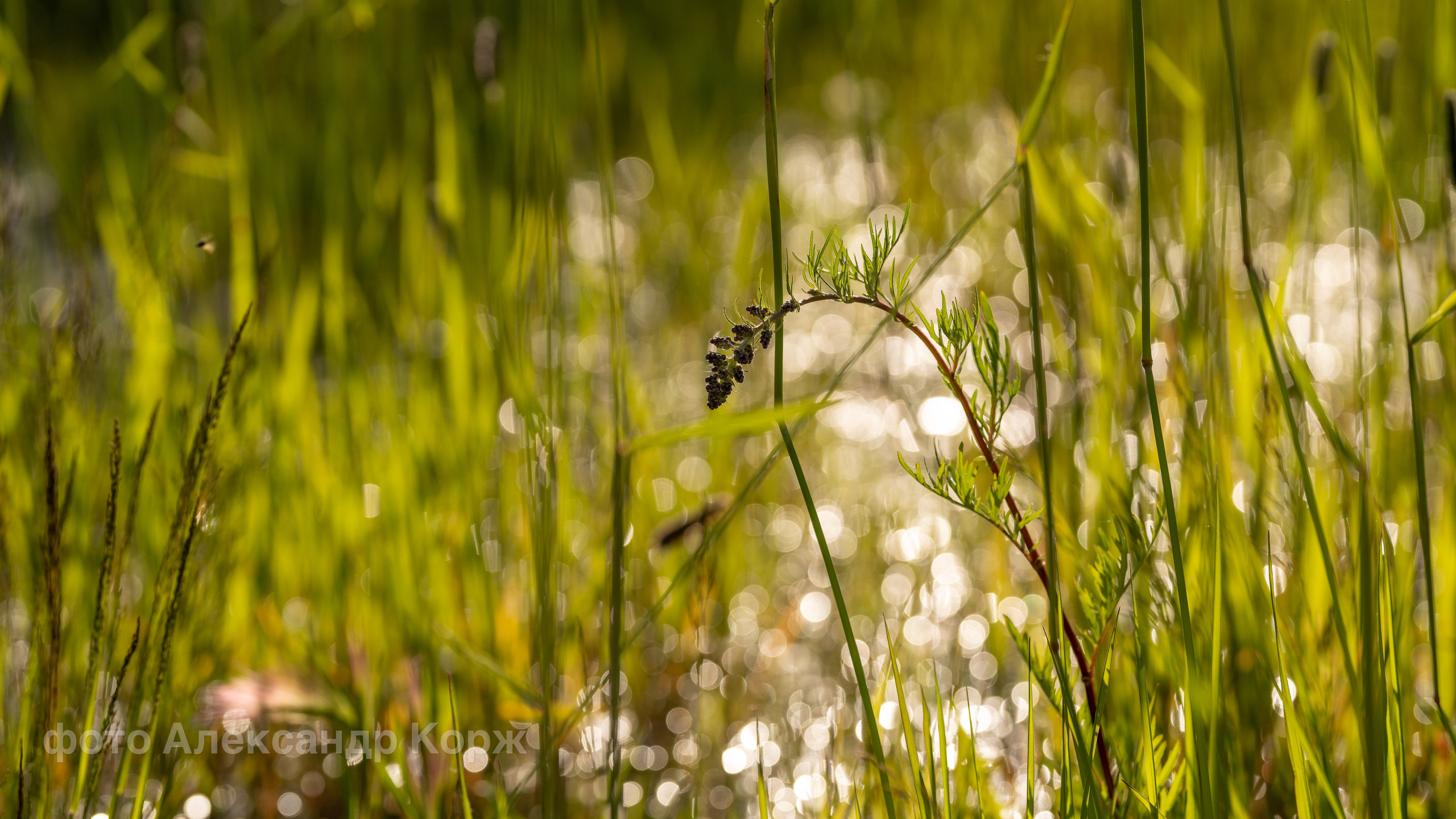 Фотографии Северного поселка Айхал. Фотографии и видеосъемка, Айхал, Удачный, Якутия. Фотографии Айхал