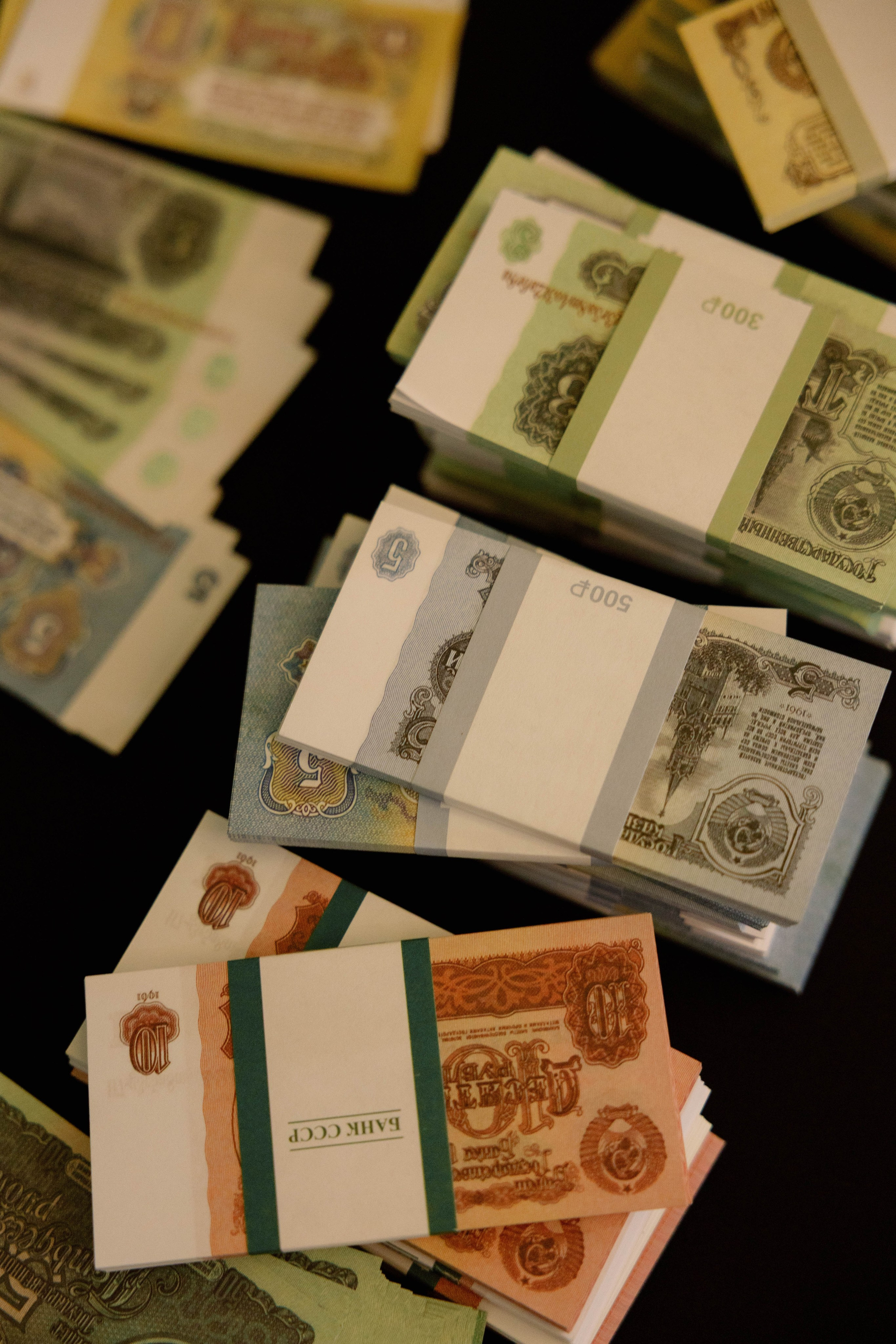 Конференция и ужи. Кормовит. Роза хутор. Фотограф Юсова Мария