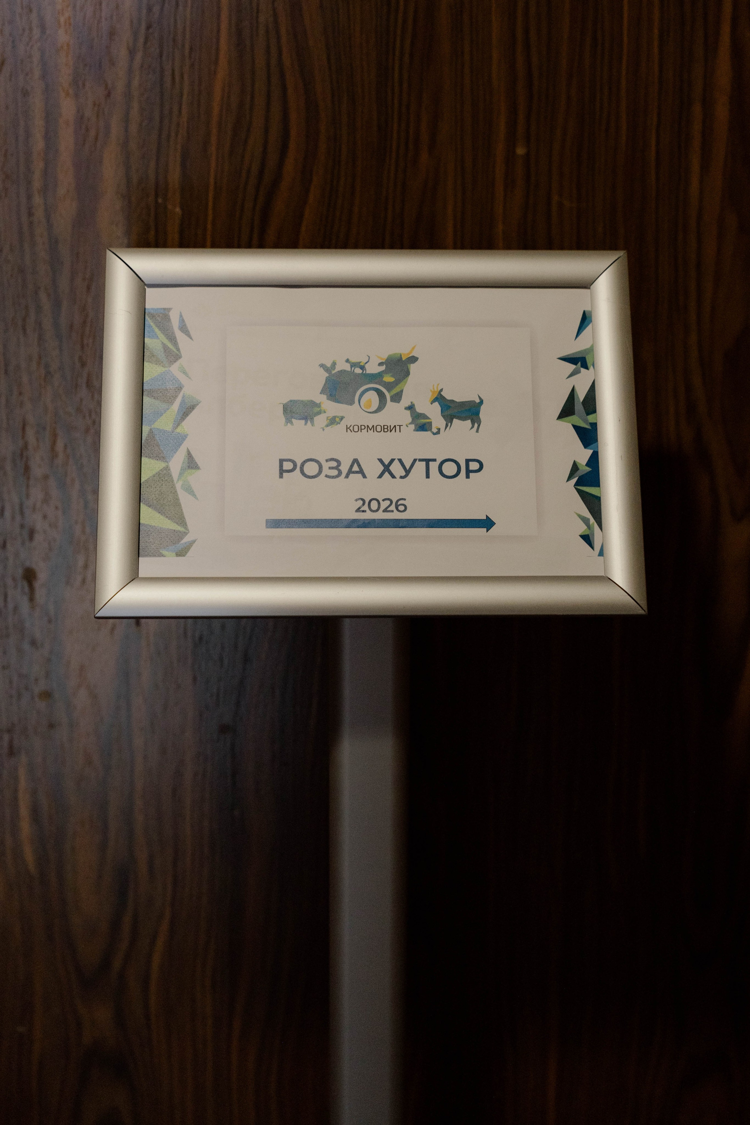 Конференция и ужи. Кормовит. Роза хутор. Фотограф Юсова Мария