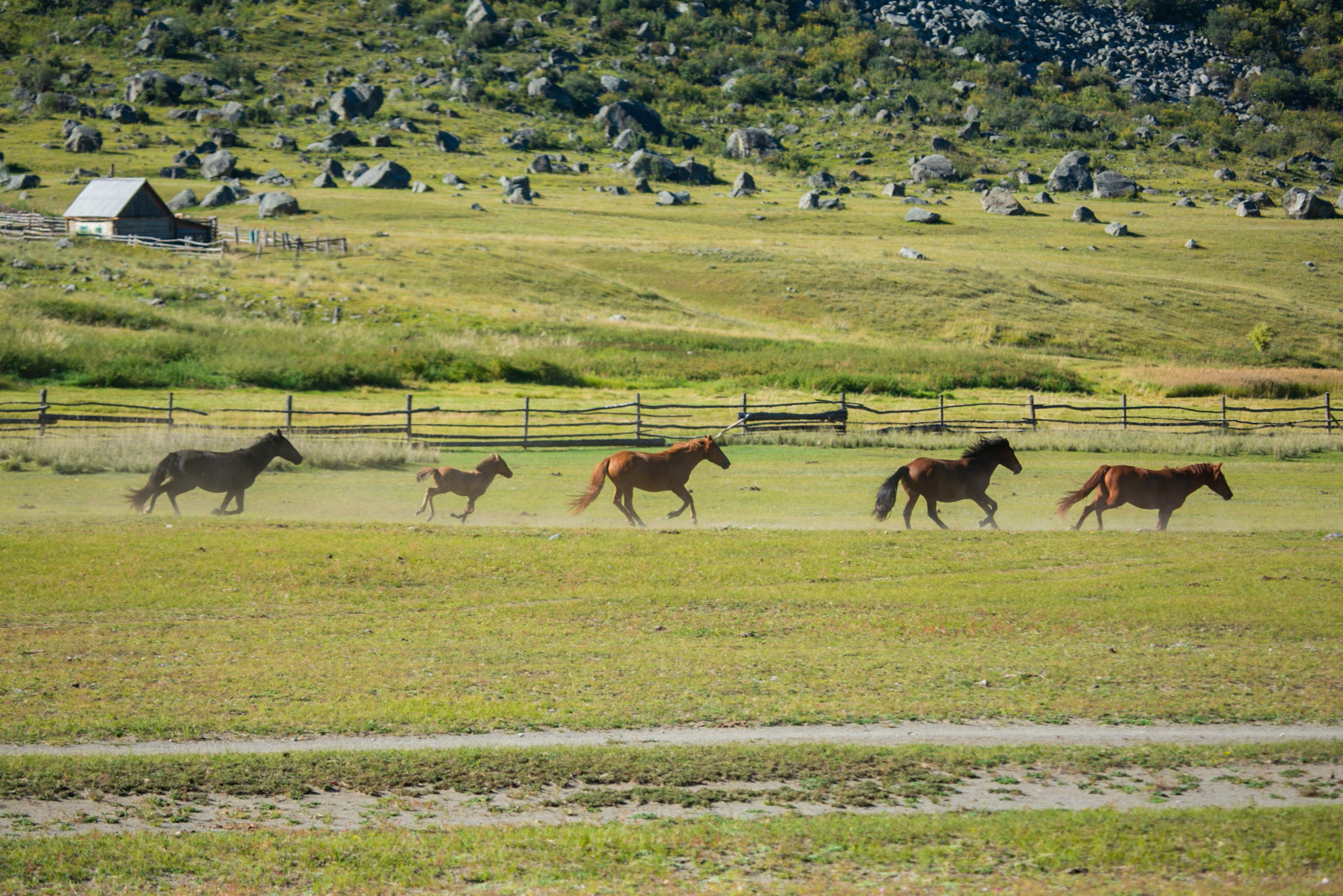 Алтай. Репортажный фотограф в Москве Зуйко Оксана