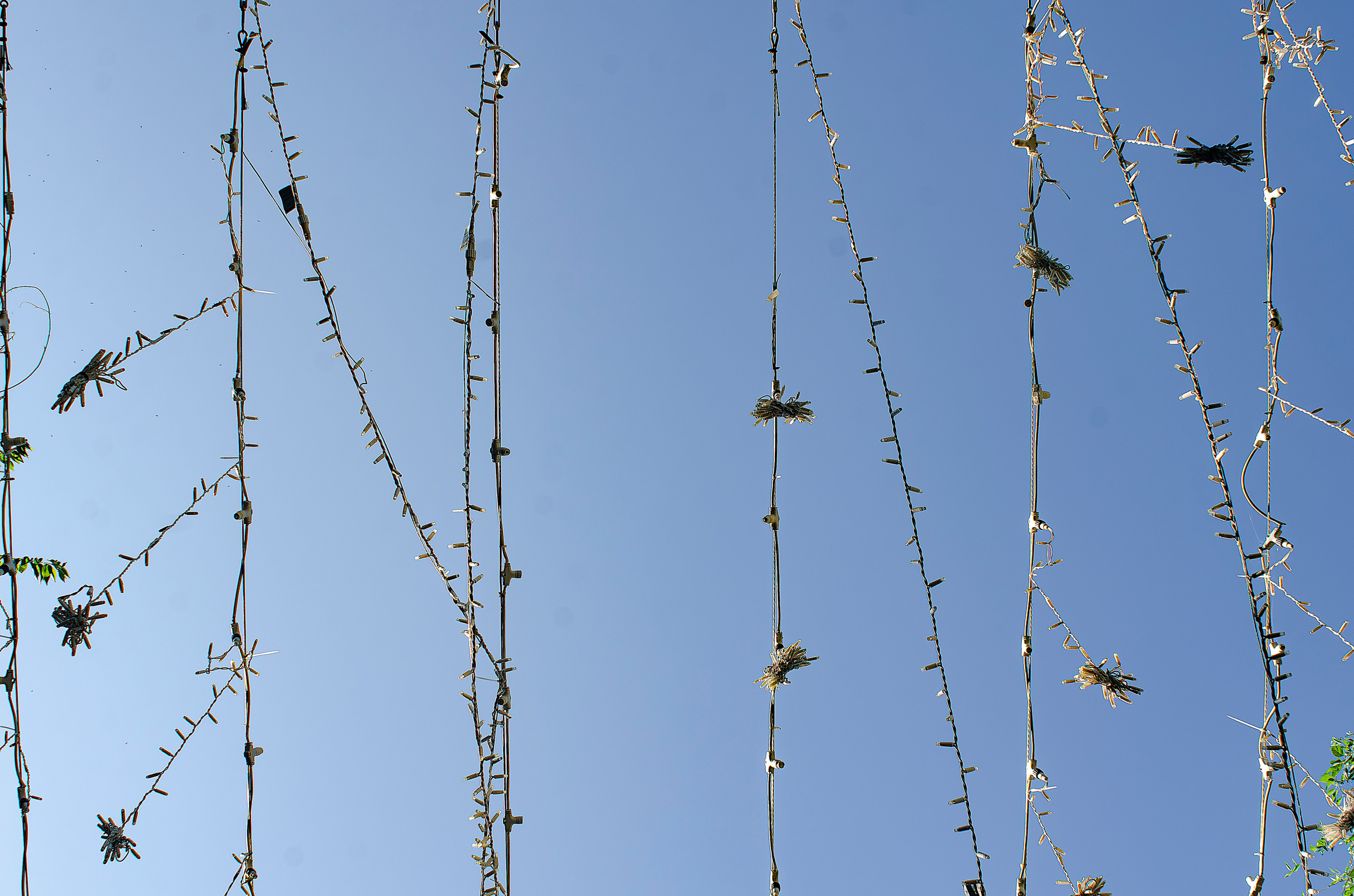 Architechture of Orenburg. Sreda fotoArt