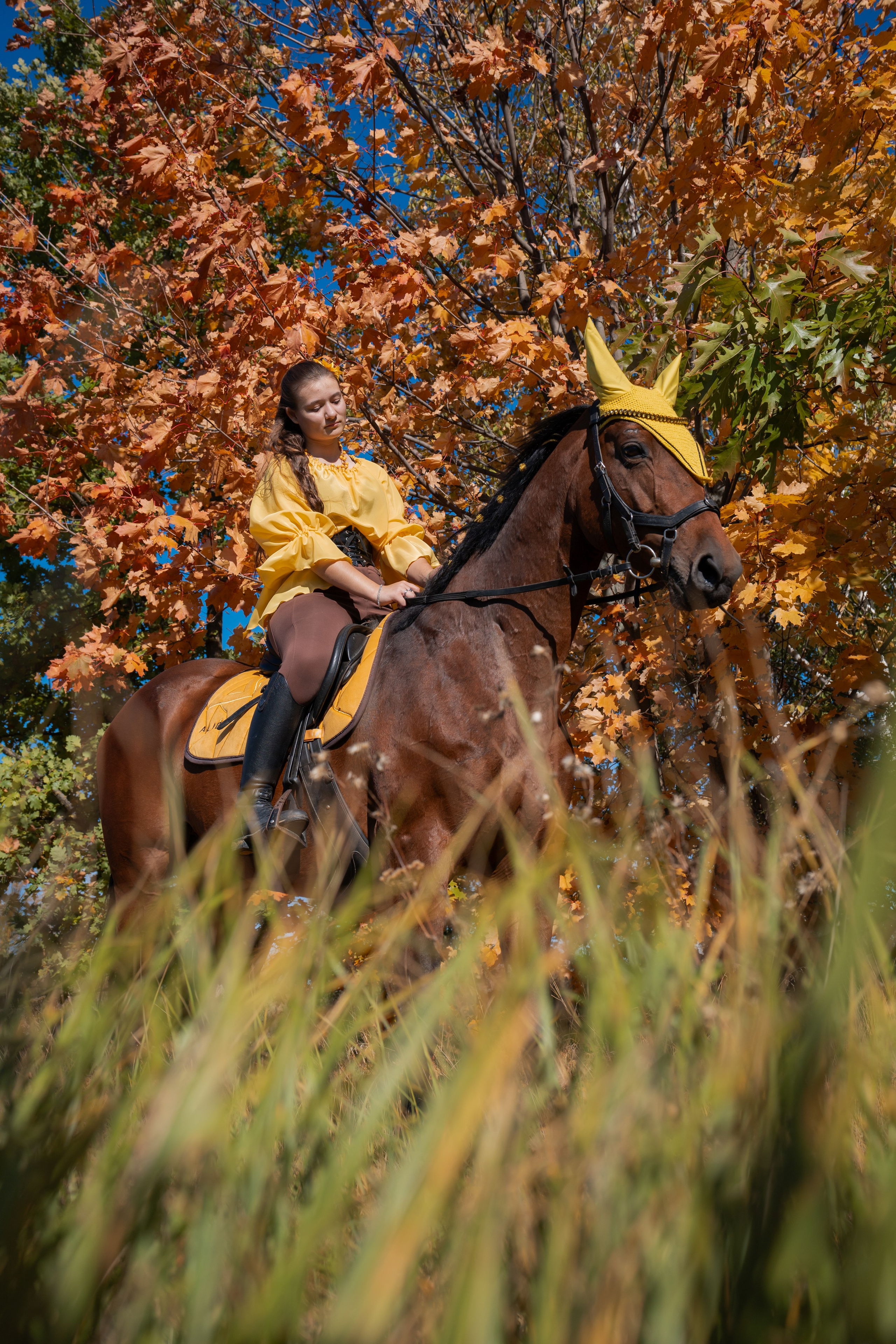 Фотосессия с лошадьми