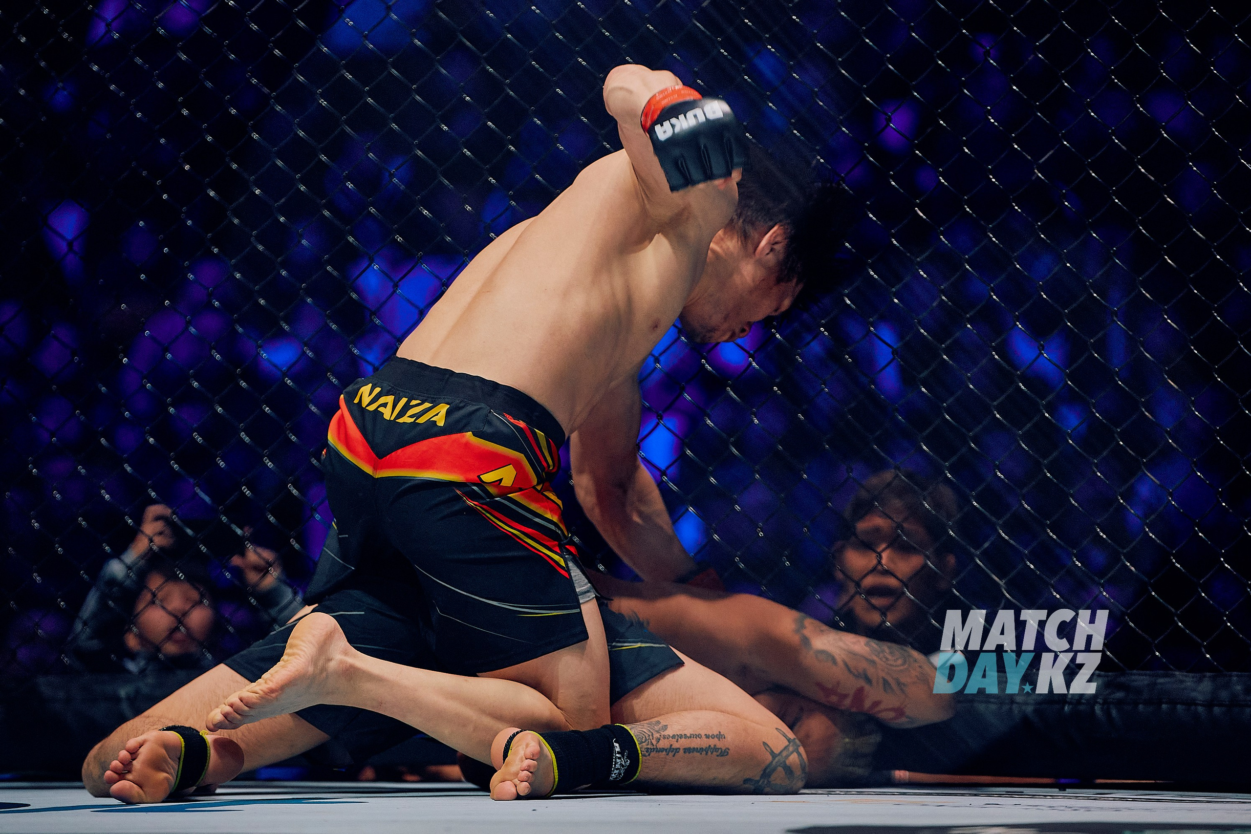 Naiza MMA (Astana) 6 December 2023. Professional photo & Event agency (Kazakhstan, Astana)