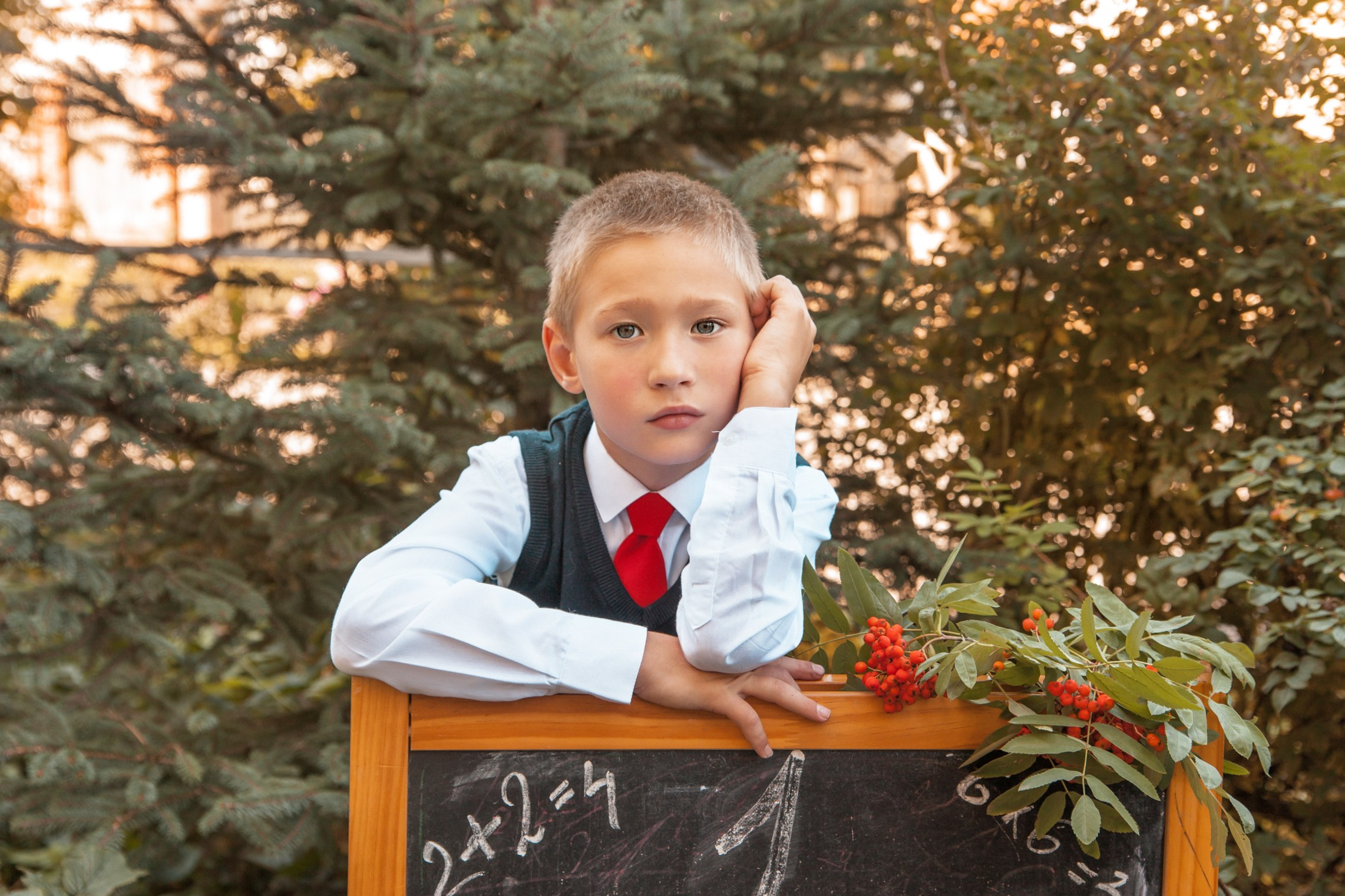 1 сентября 2023. Детский и семейный фотограф в Бердске и Новосибирске Дарья Гребнева