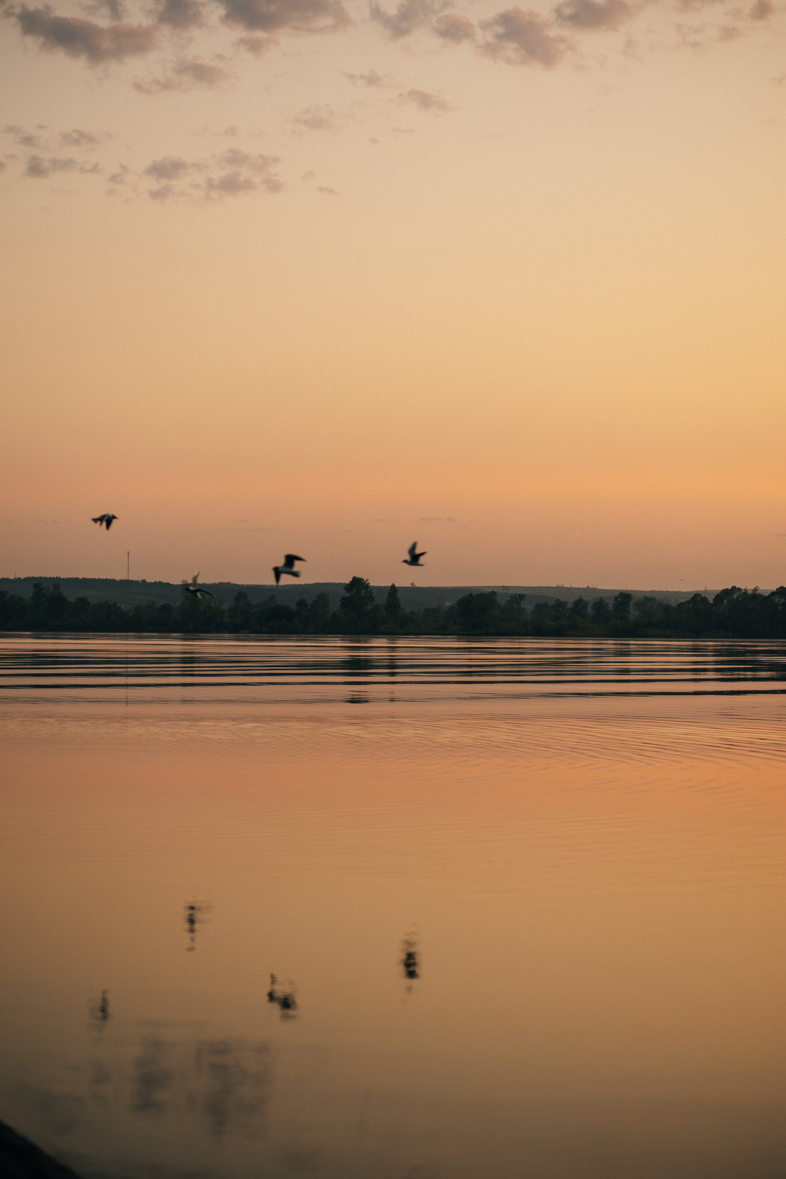 Регина и Рашид. Главная