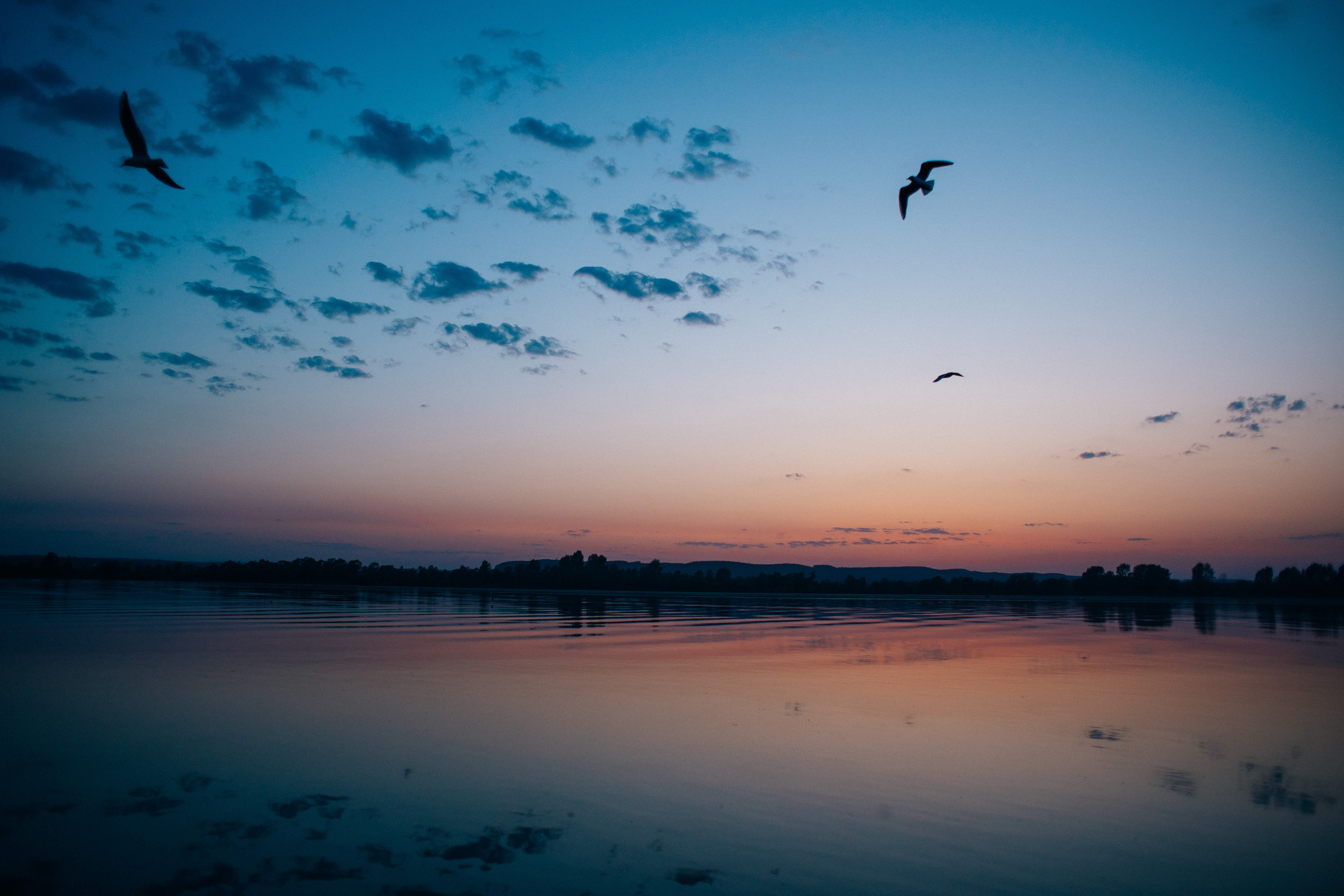 Регина и Рашид. Главная